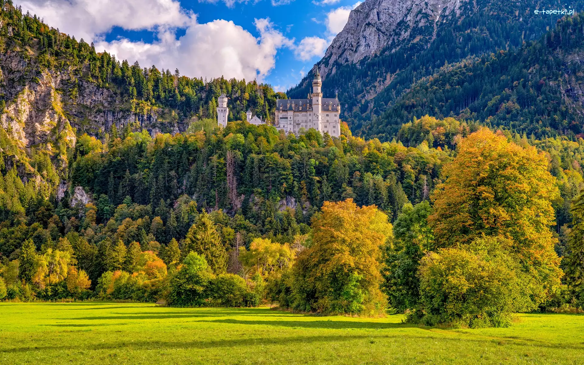 Niemcy, Góry, Skały, Jesień, Zamek Neuschwanstein, Bawaria, Drzewa