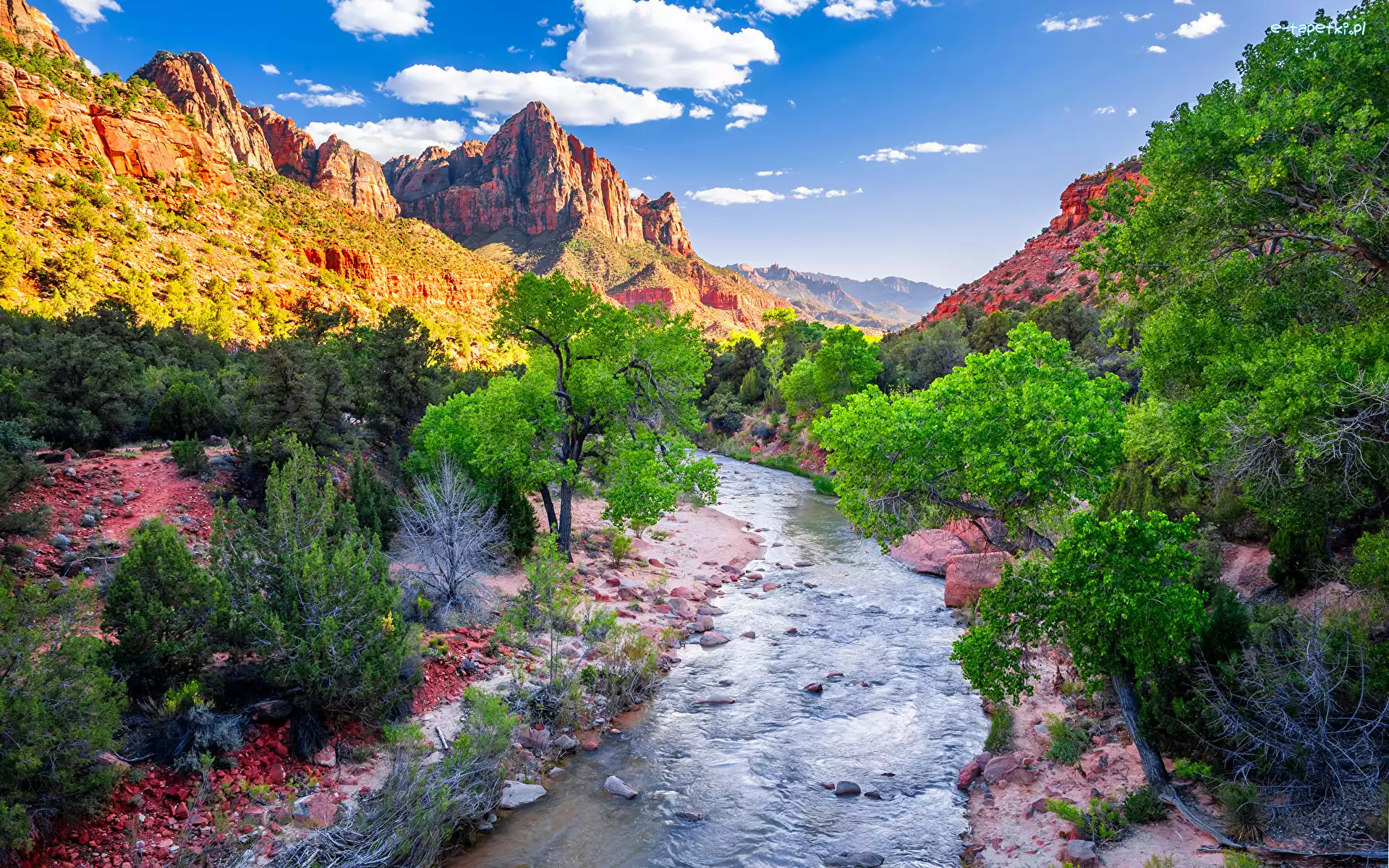 Rzeka, Góry, Stany Zjednoczone, Stan Utah, Góra Watchman, Virgin River, Drzewa, Park Narodowy Zion