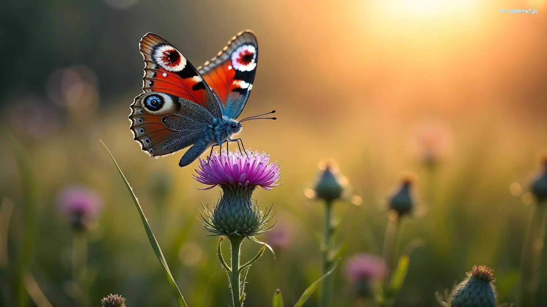 Kwiat, Grafika AI, Ostrożeń, Motyl