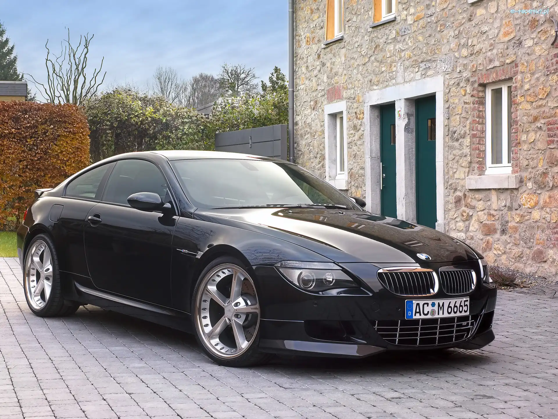 BMW Seria 6, Alufelgi
