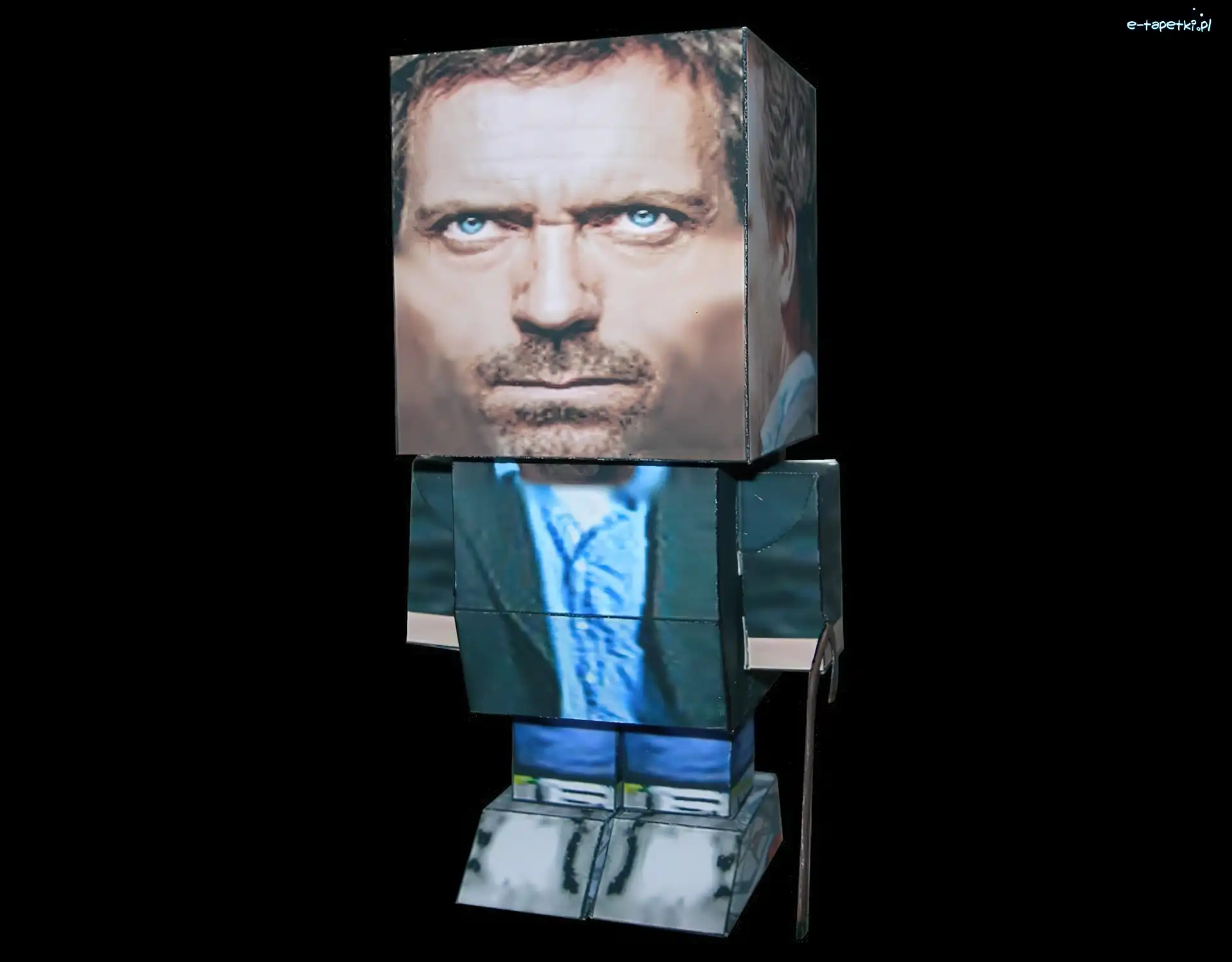 Pudełka, Hugh Lauriego, Dr. House