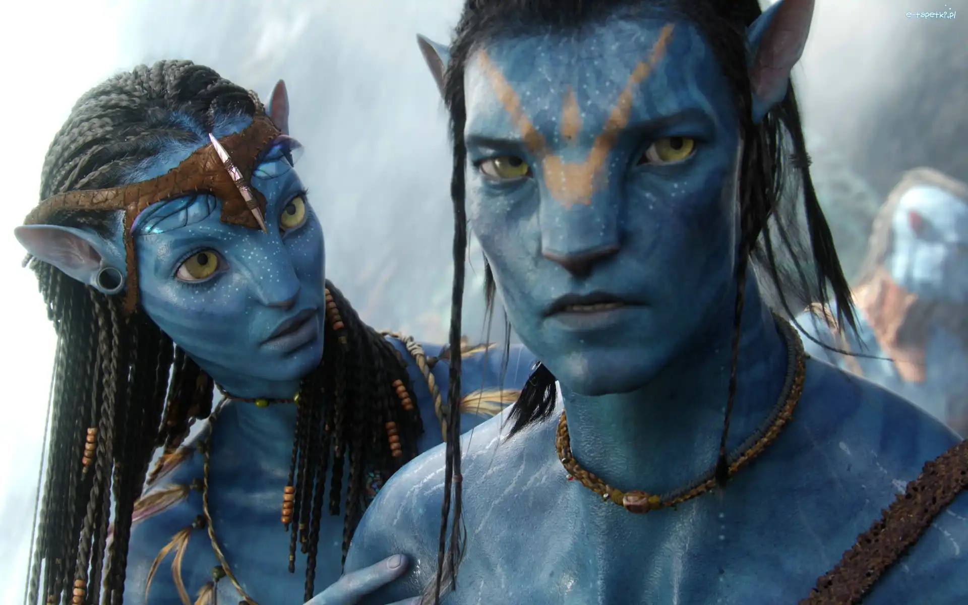 Postacie, Avatar