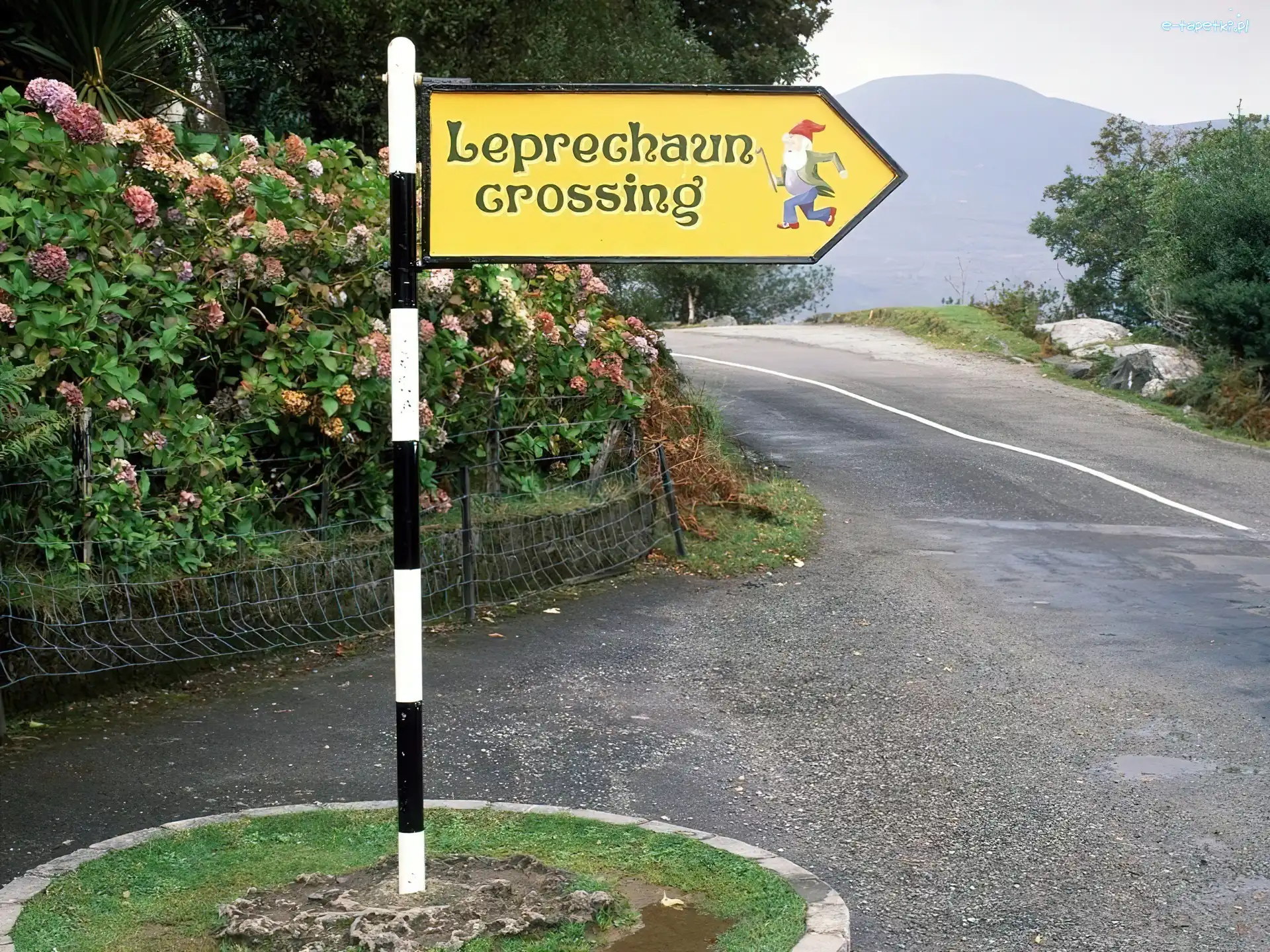 Europa, Irlandia