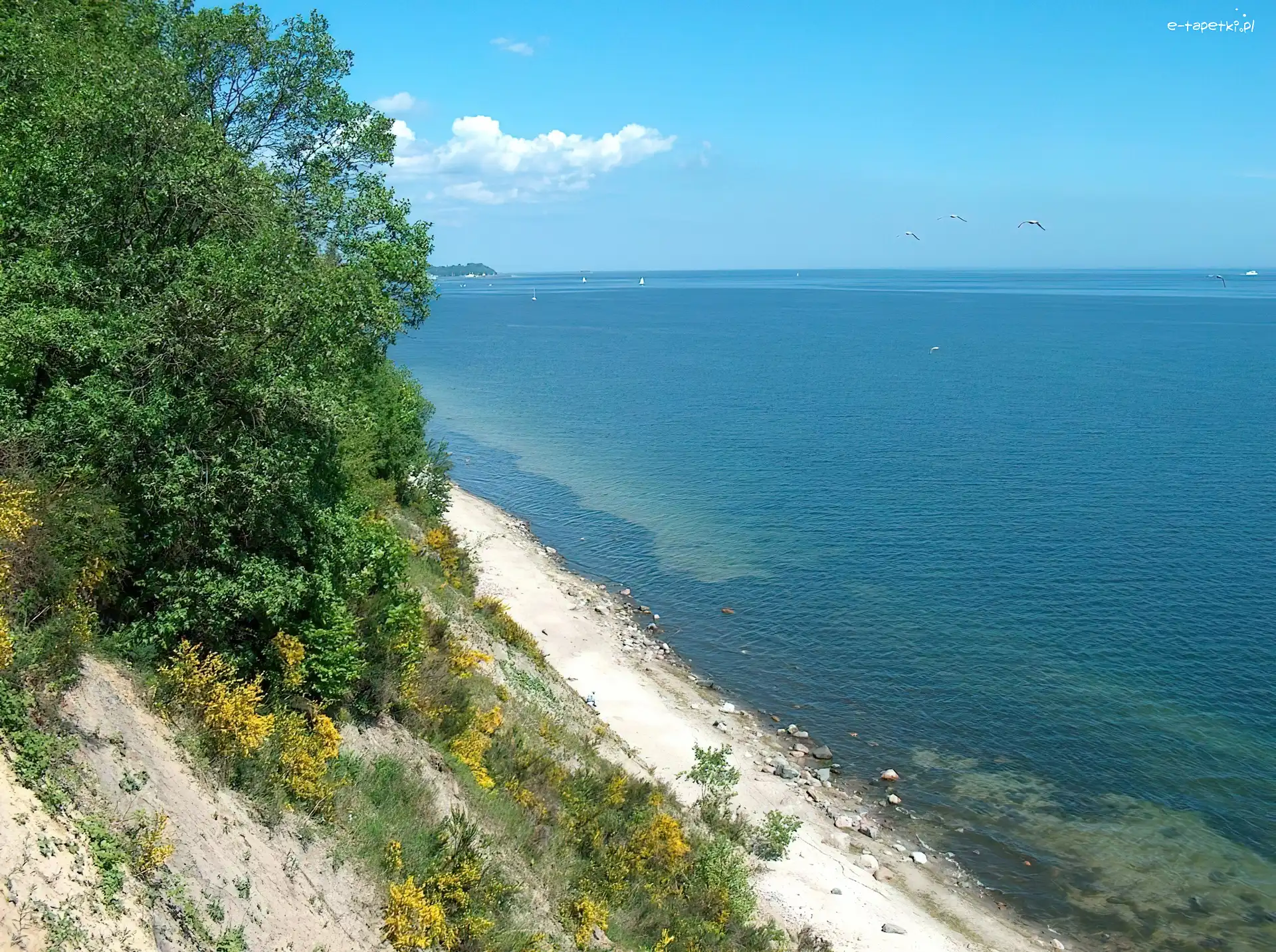 Klif, Gdynia