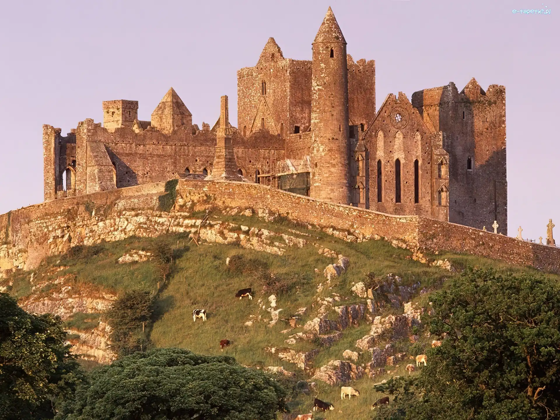 Zamek, Irlandia