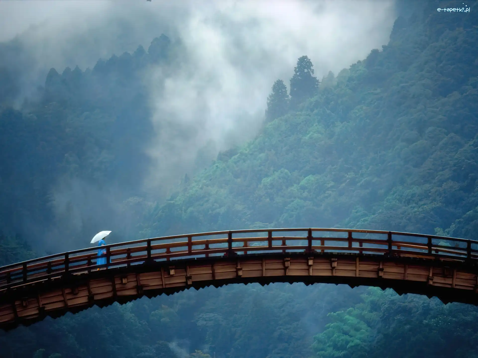 Las, Most, Japonia