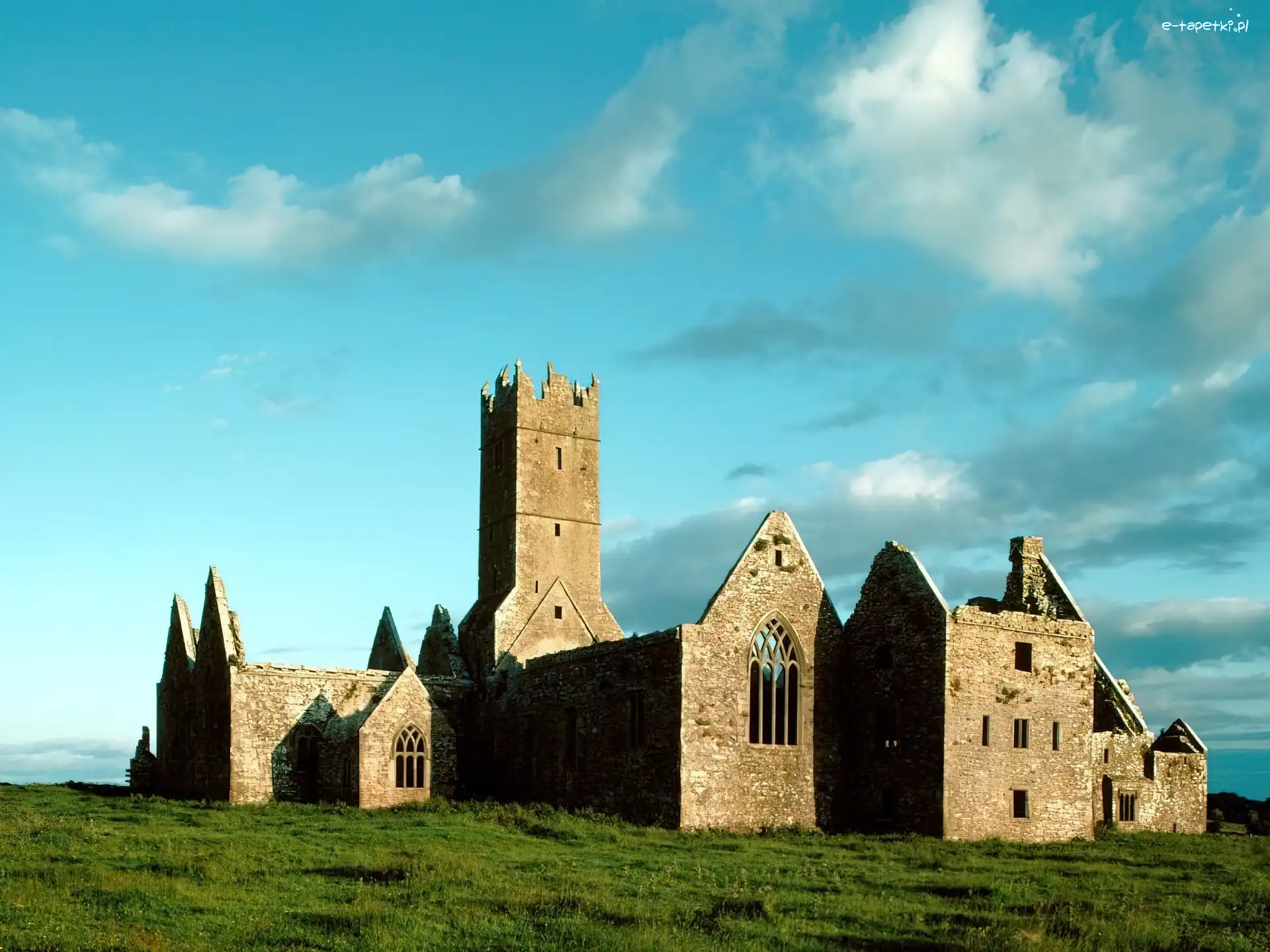 Zamek, Irlandia