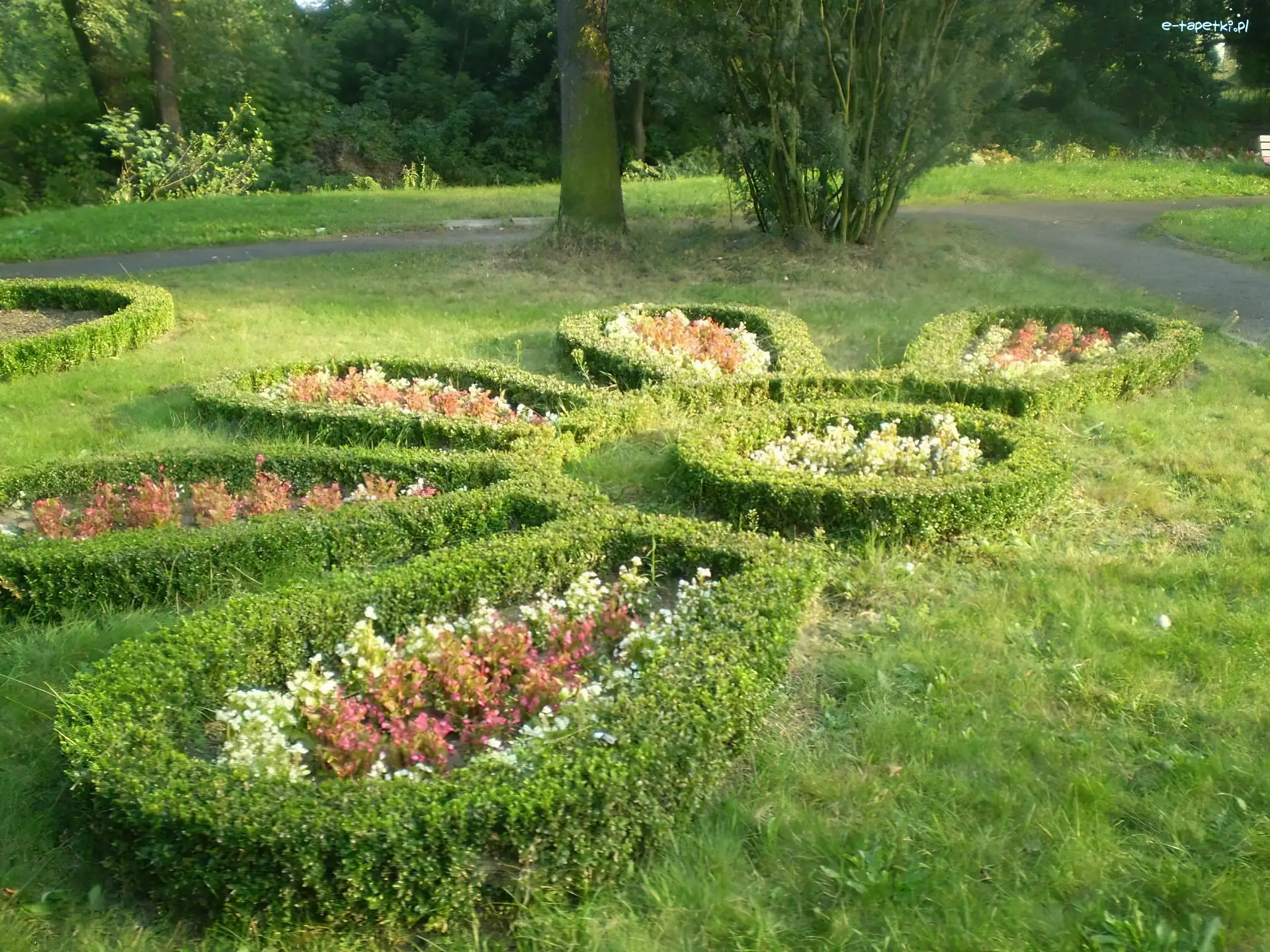 Wzorek, Park
