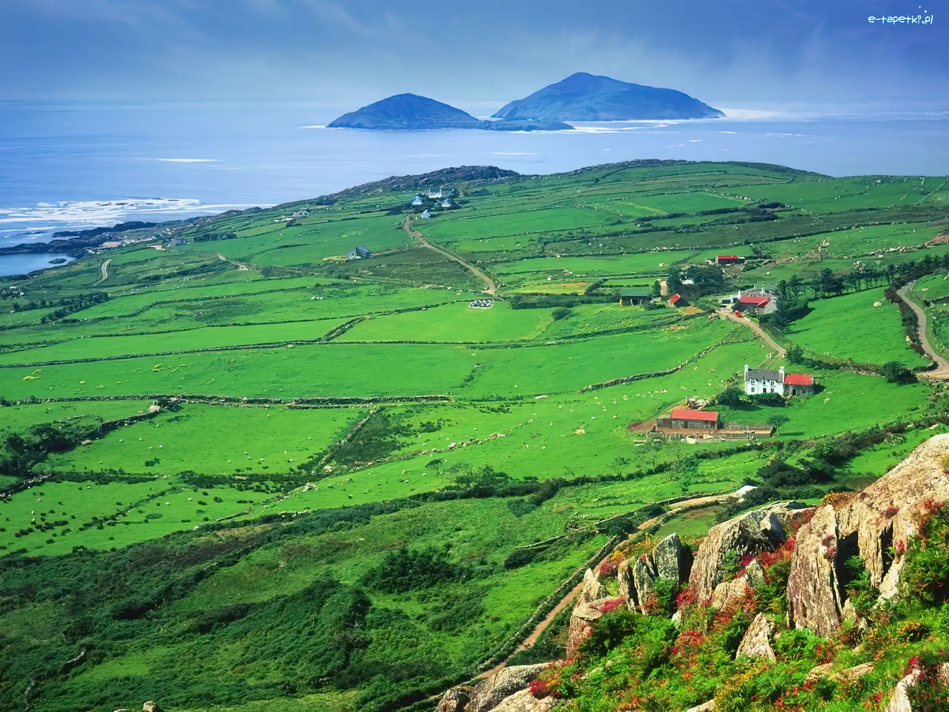 łąka, Europa, Góra, Irlandia