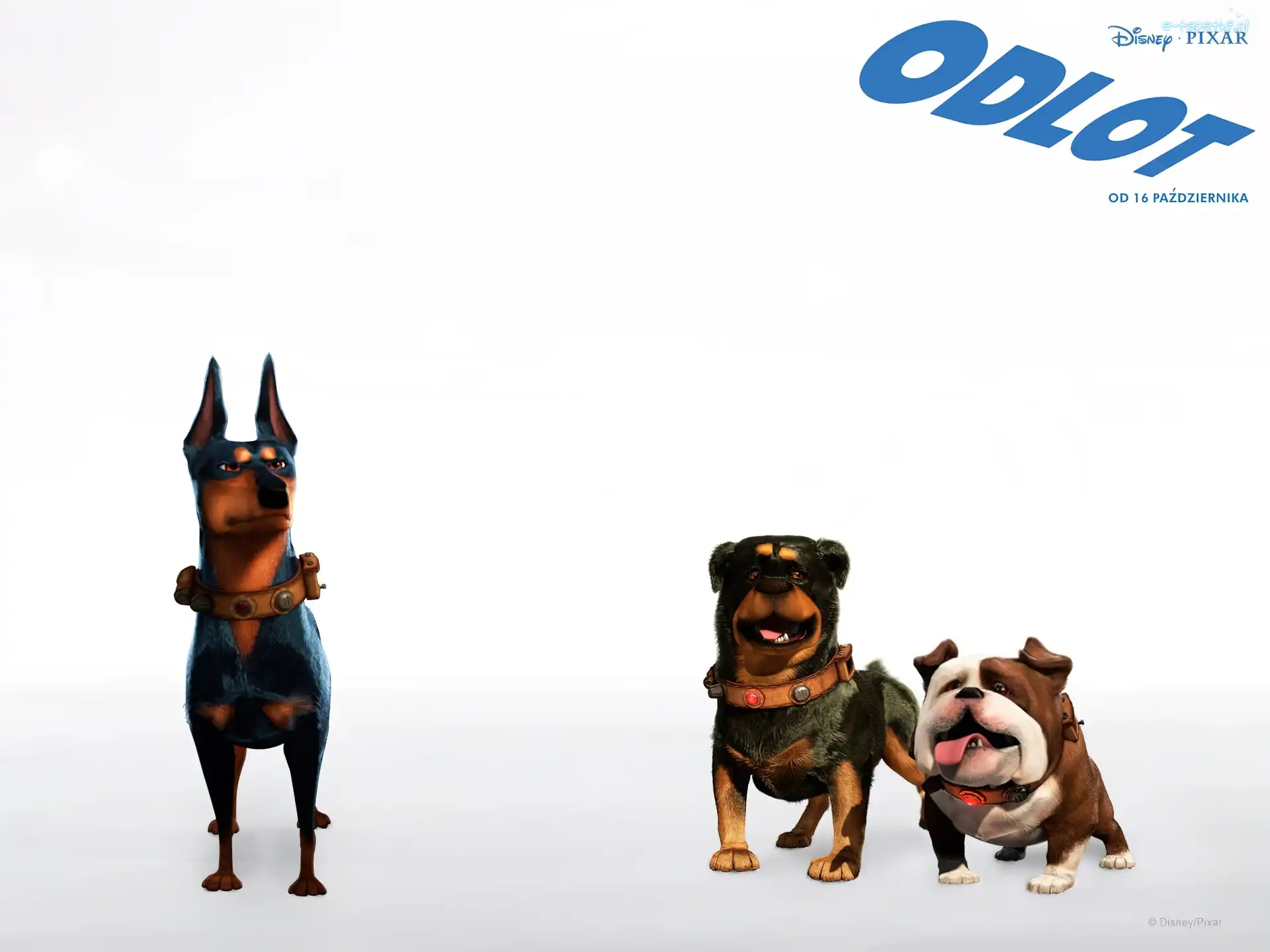 Up, Psy, Trzy, Odlot
