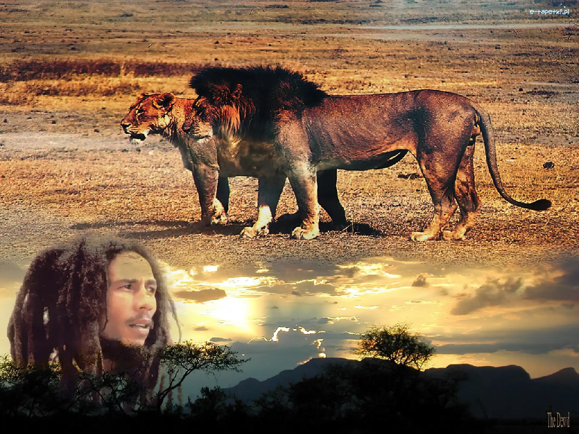 Tygrys, Lew, Bob Marley