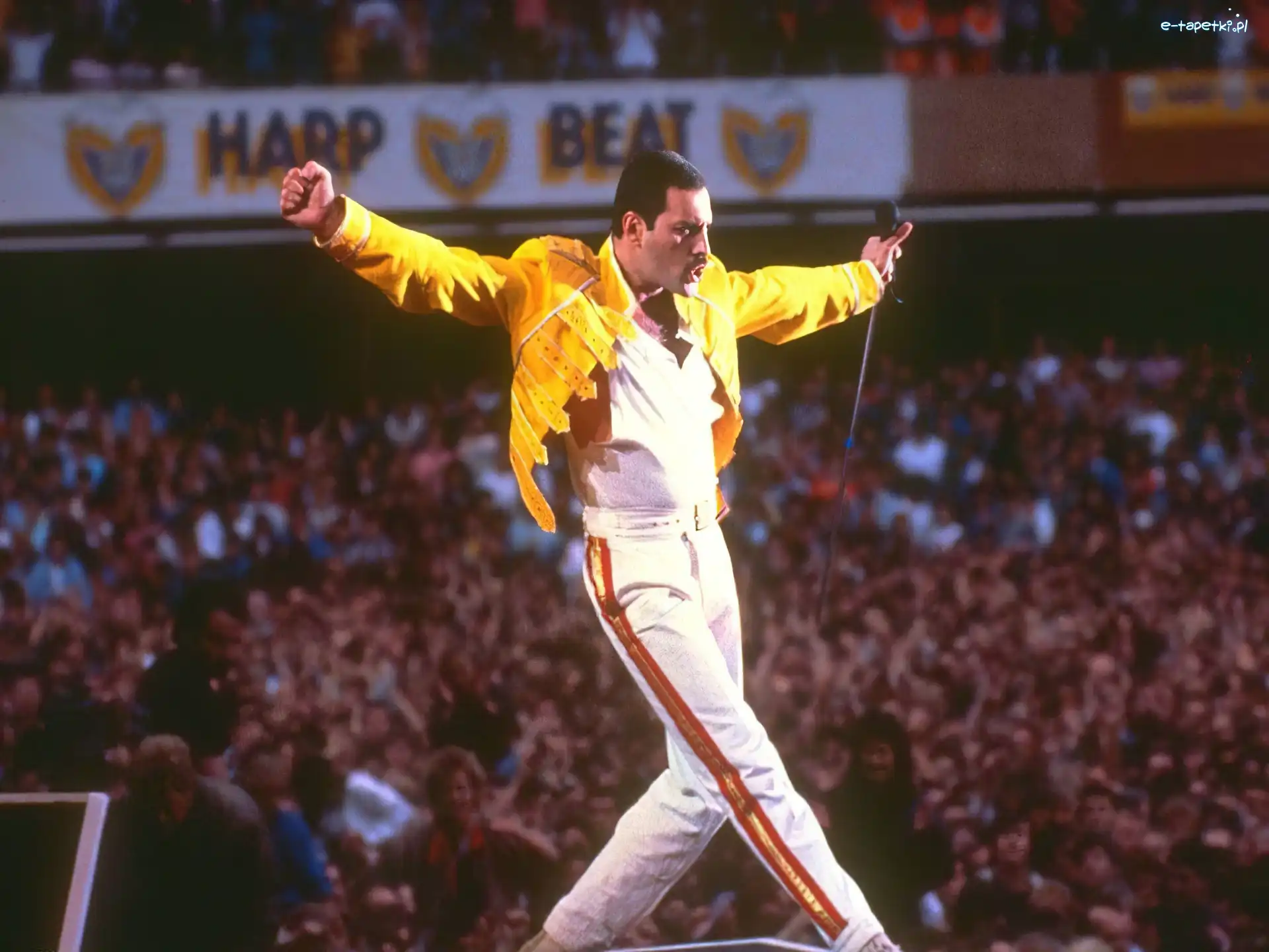 Kurtka, Żółta, Freddie Mercury