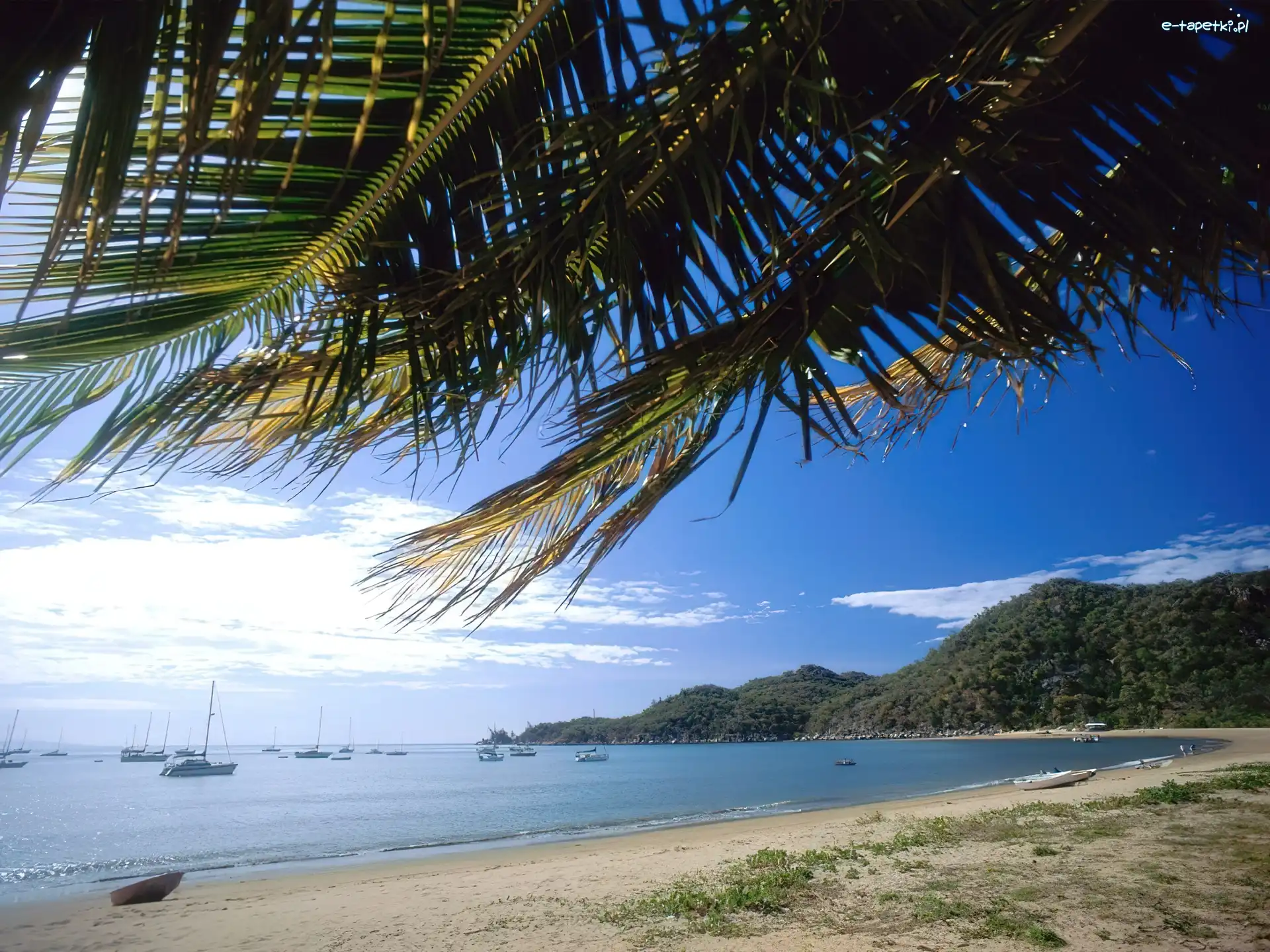 Plaża, Palma, Jachty, Australia