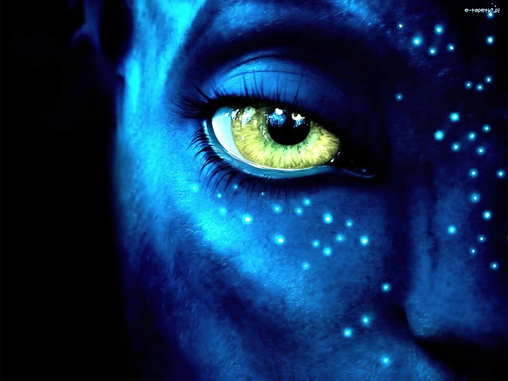 Oko, Avatar