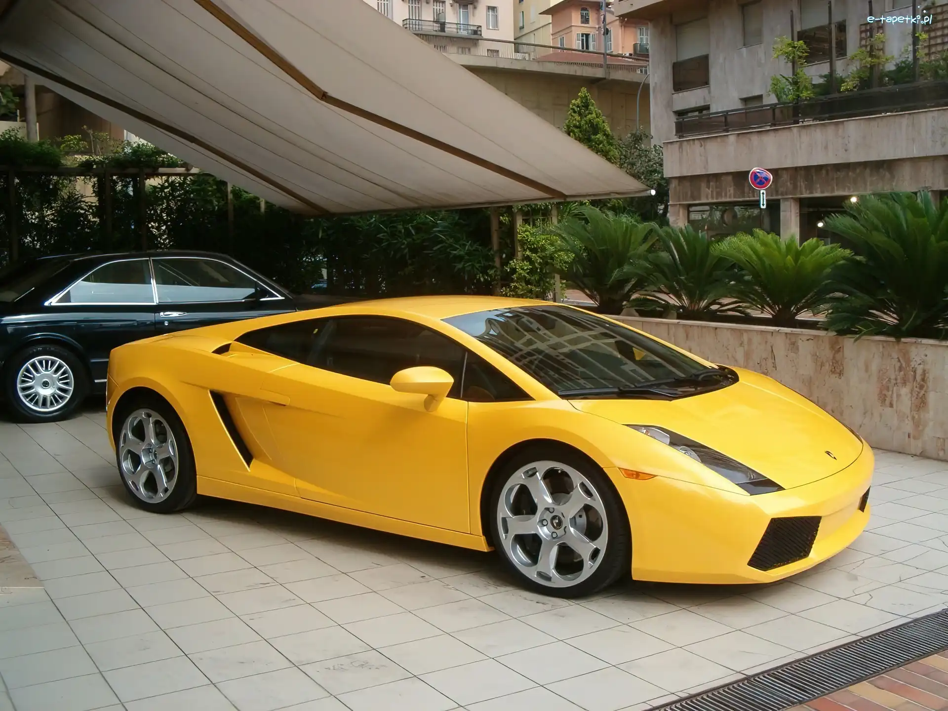 Lamborghini Gallardo, Żółty