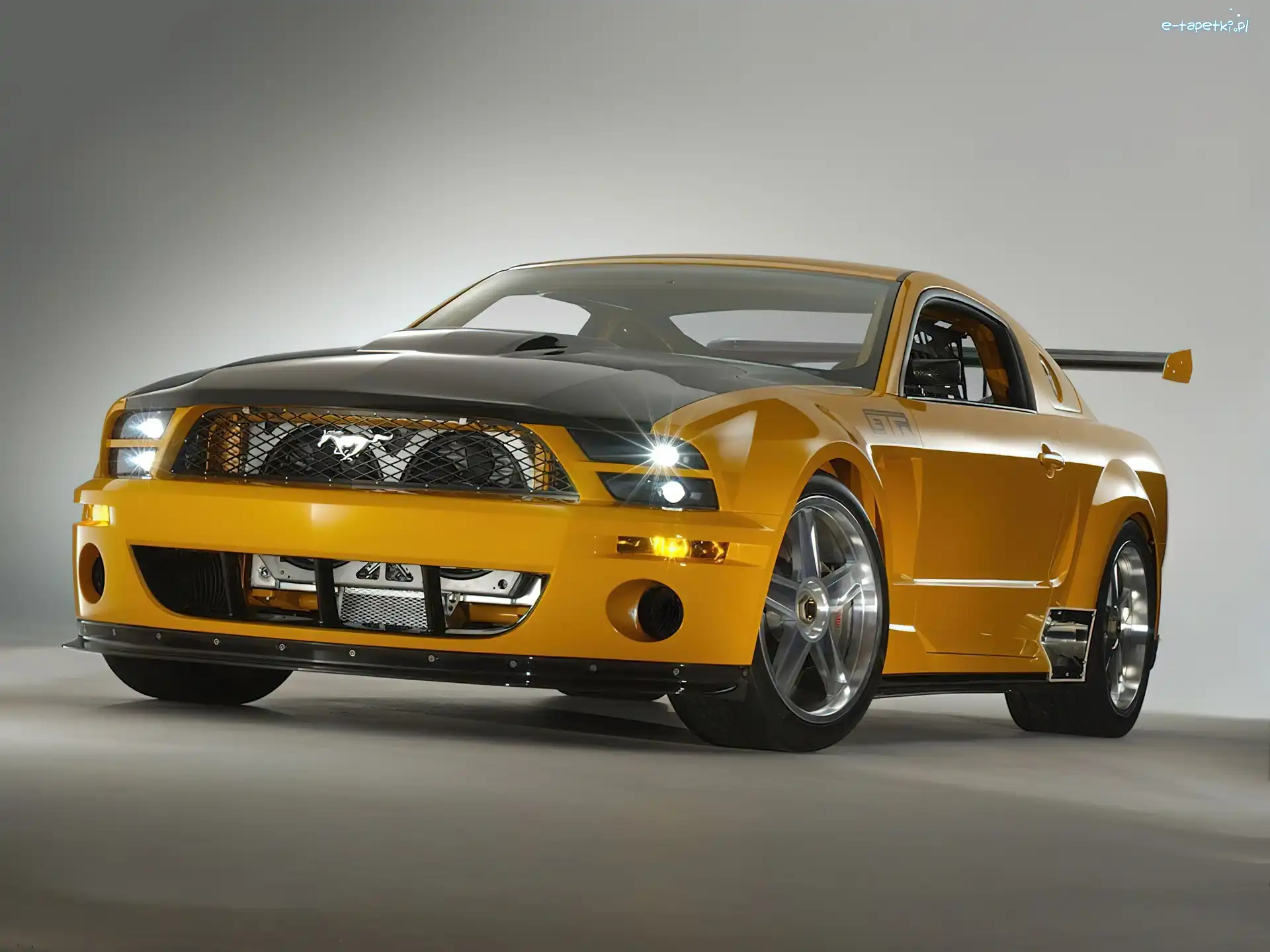 GTR, Shelby