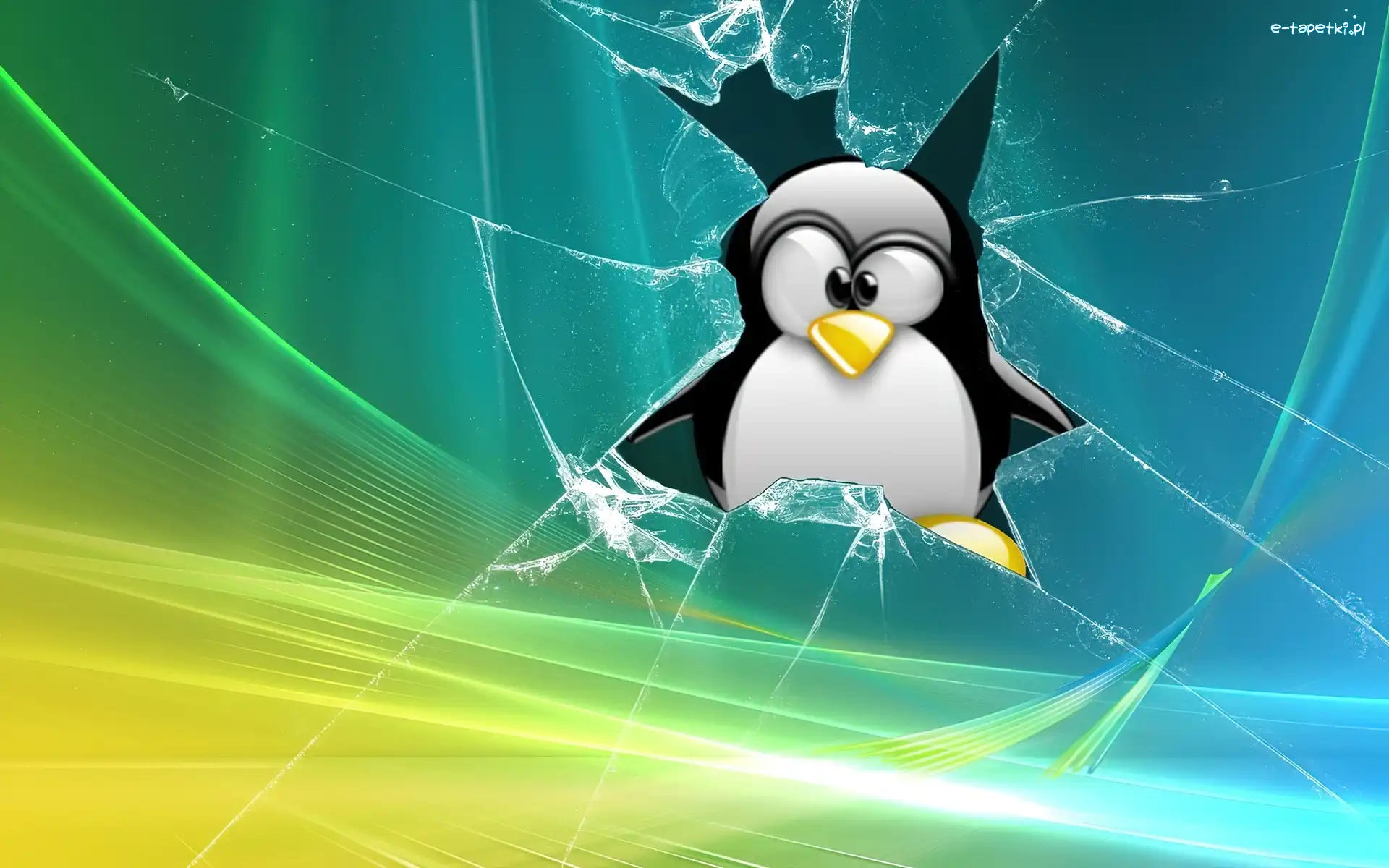 Pingwin, rozbicie Tła na Facebooka, Vista, Linux