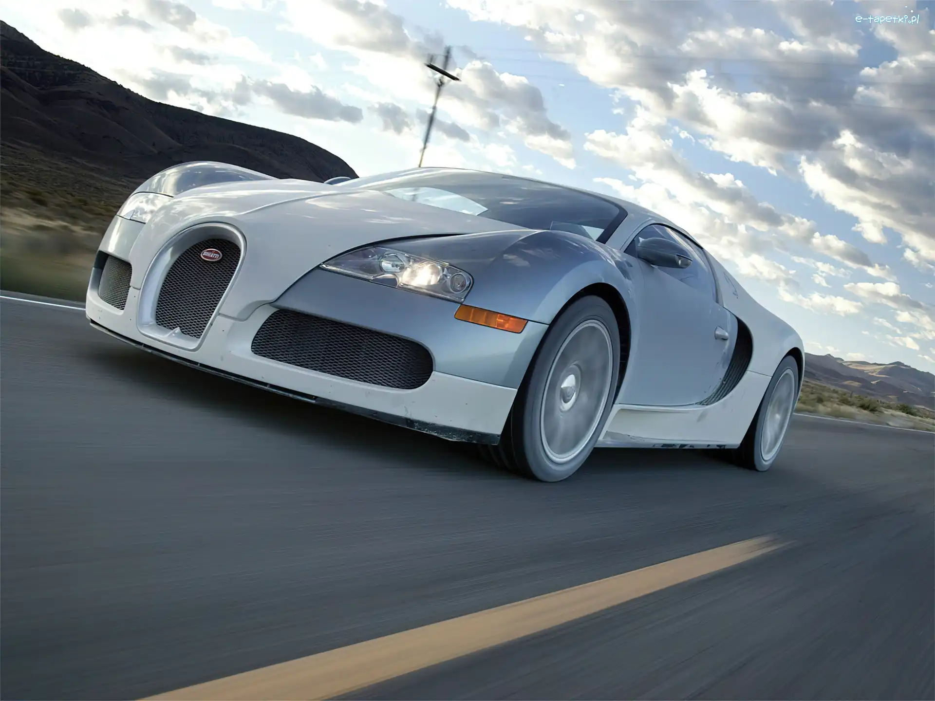 Bugatti Veyron, Prędkość, Duża, Szary