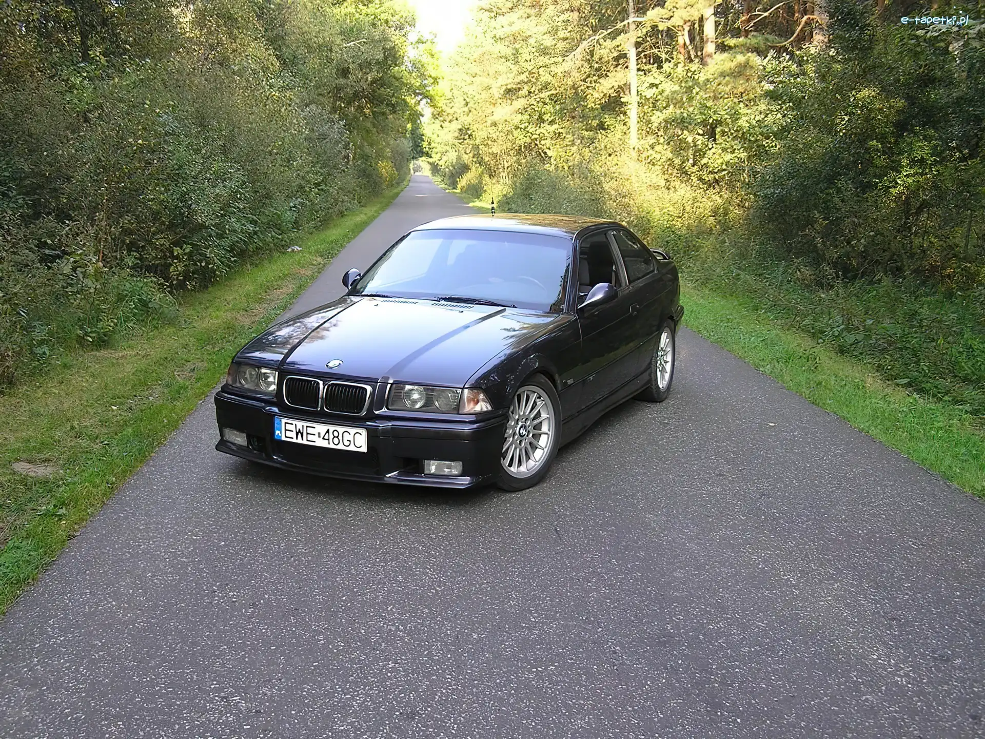 E36, Las, Szosa, BMW 3