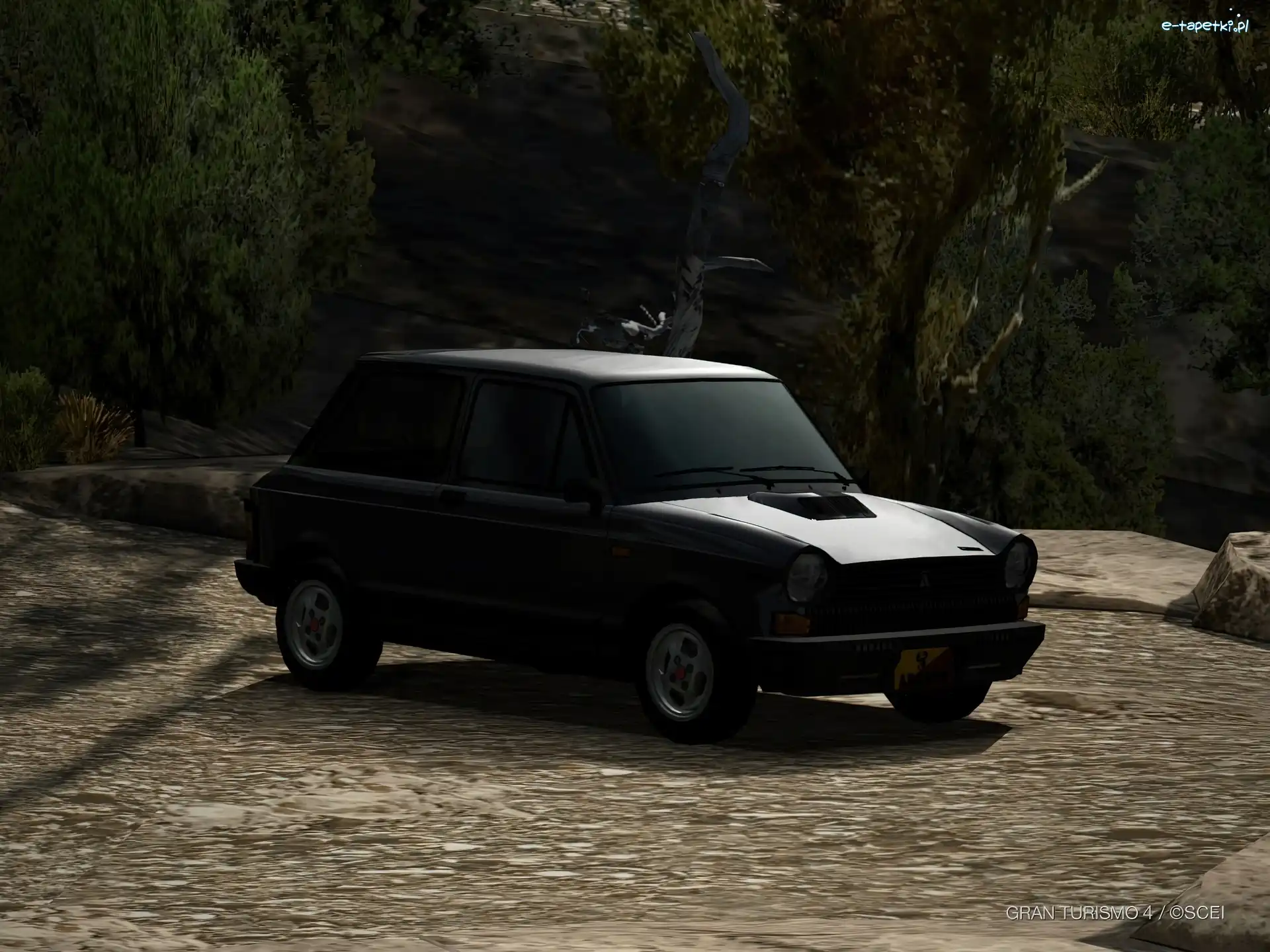 Autobianchi A112, Grafika, Las, Ciemny