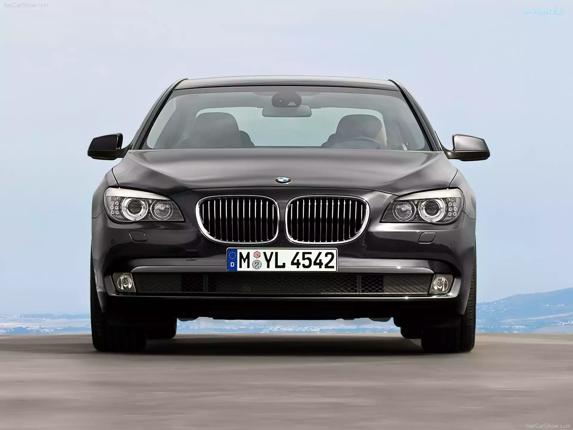 BMW seria 7 F01, Grill, Atrapa, Przód