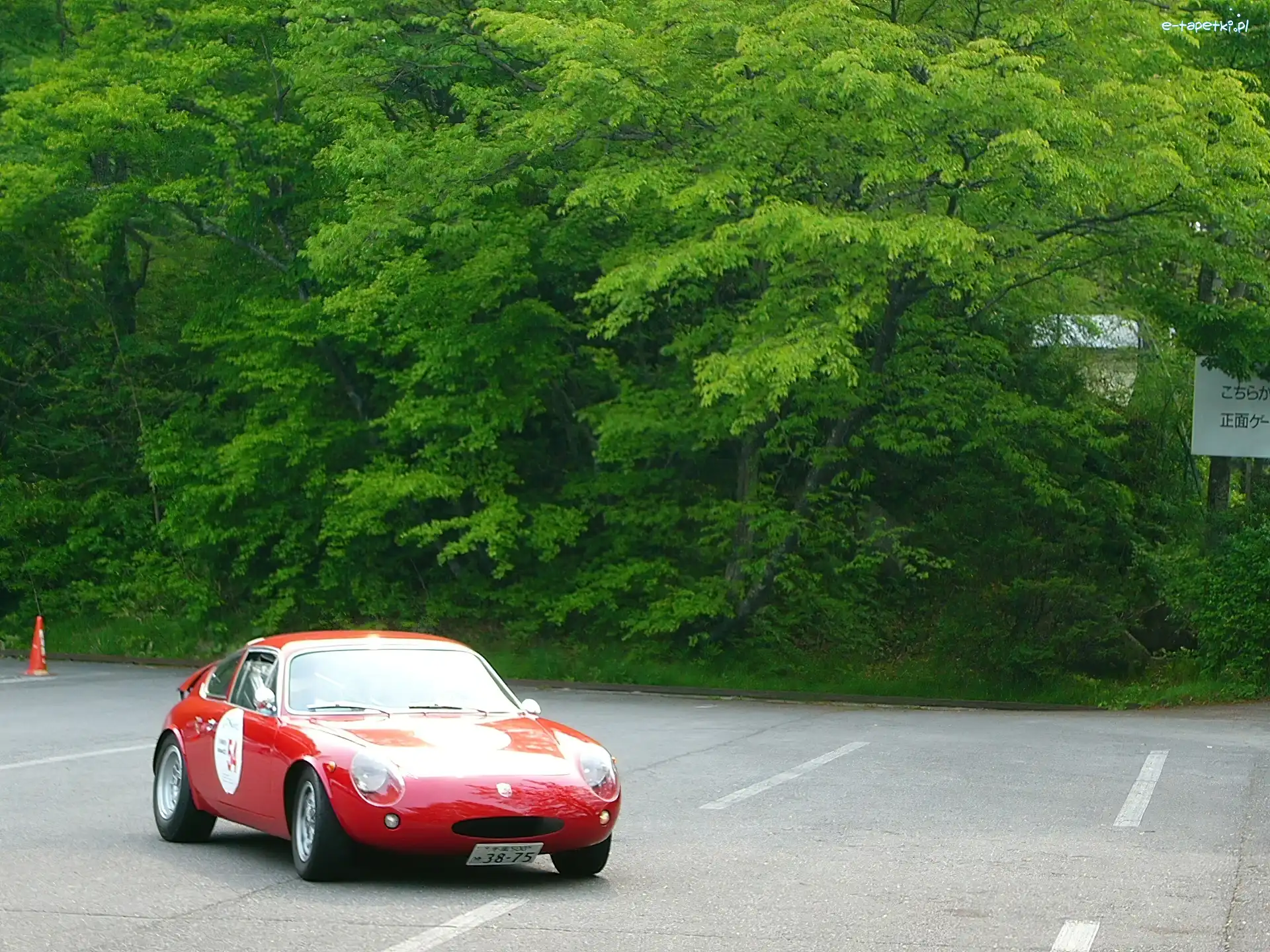Koła, Las, Trening, Abarth 1000 Mono