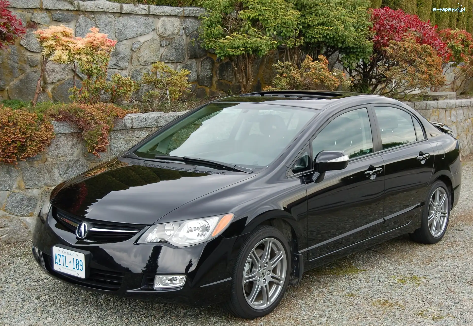 Acura CSX, Ontario, Rejestracja, Czarna