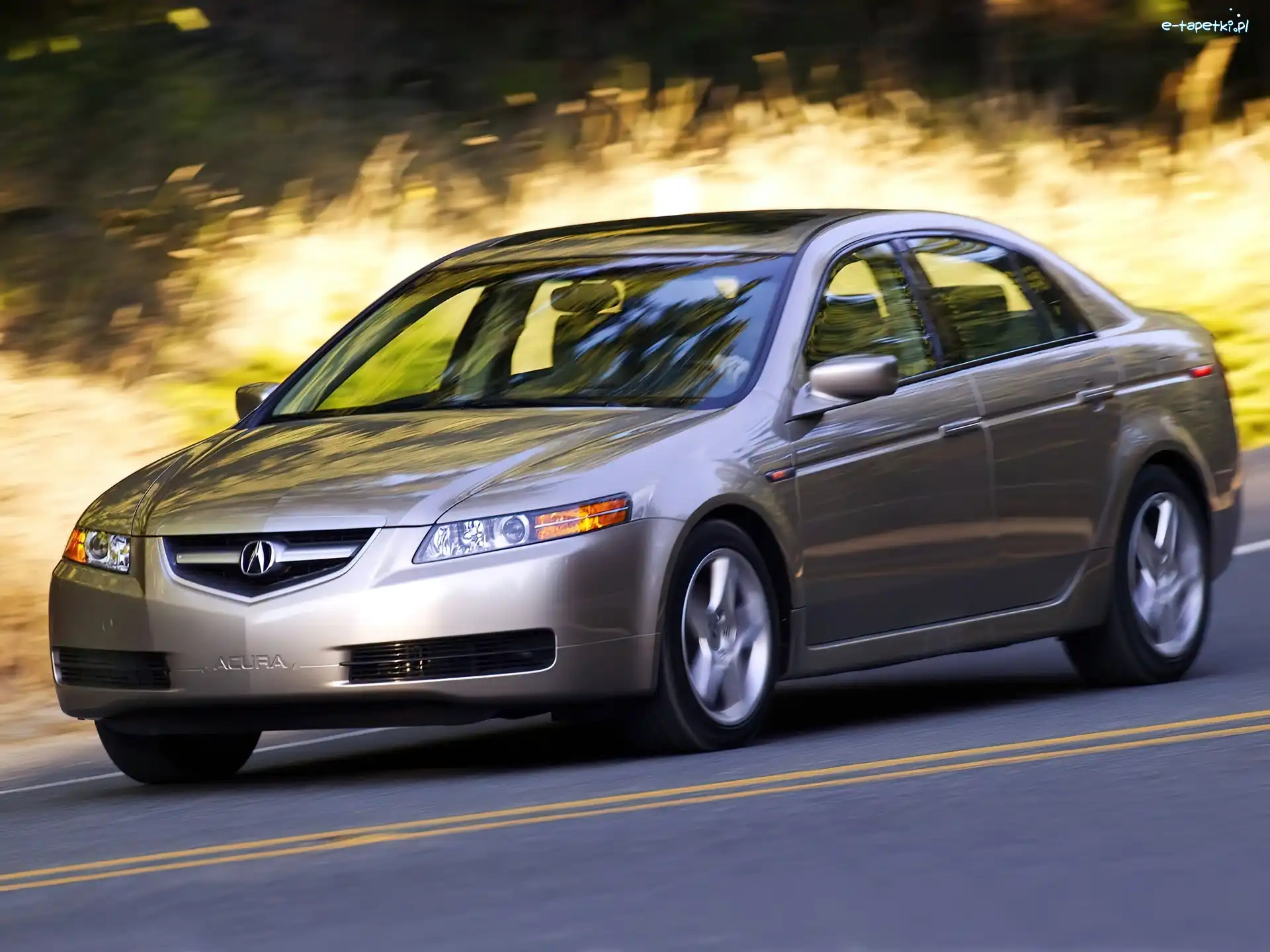 Jazda, Acura TL, Beżowa