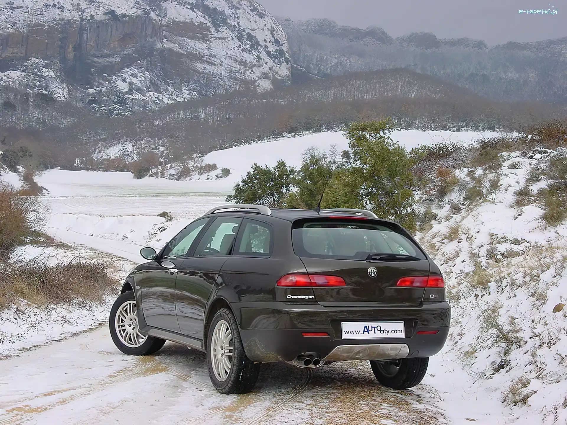 Alfa Romeo Crosswagon, Tył