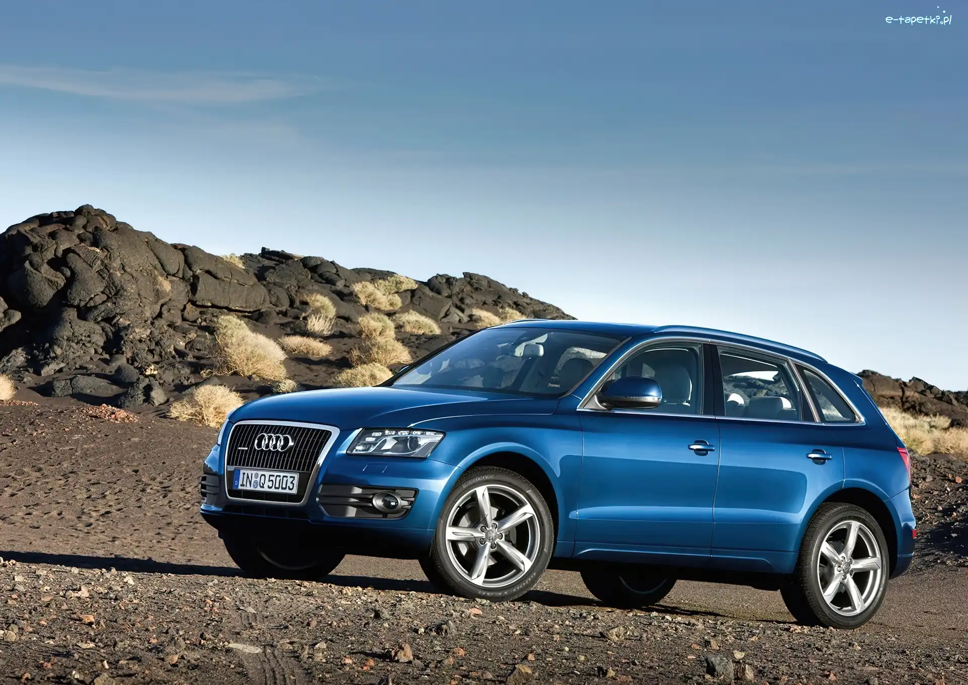Lewy, Profil, Audi Q5