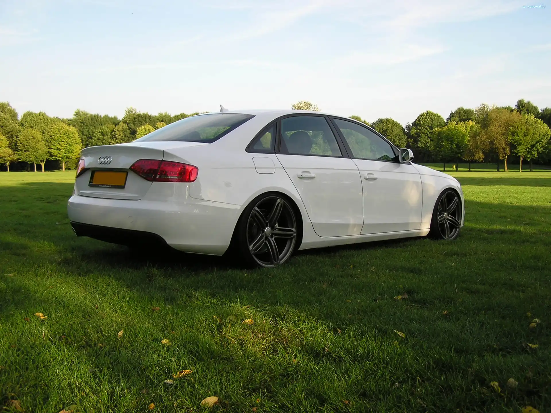 Audi A4 B8, Białe, Obniżone