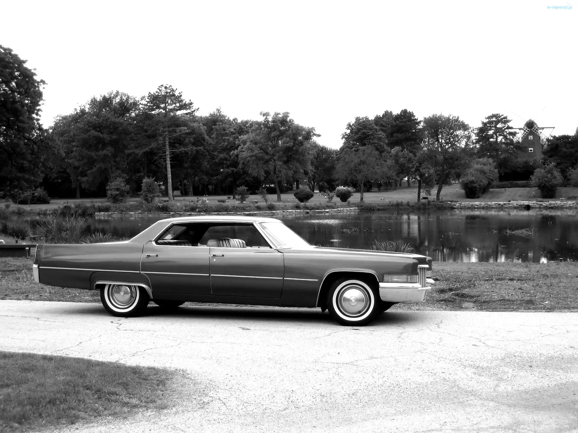 Zdjęcie, Cadillac Calais