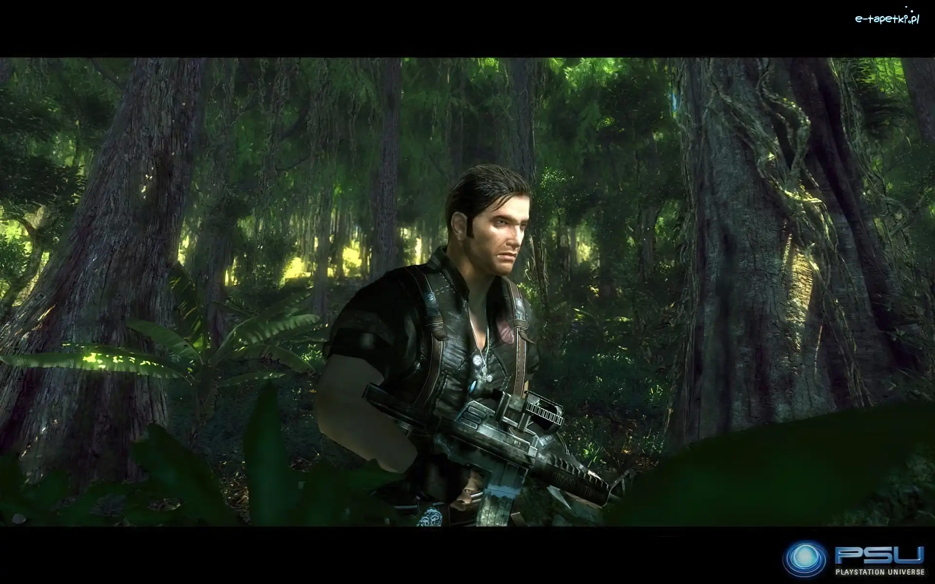 Żołnierz, Just Cause 2
