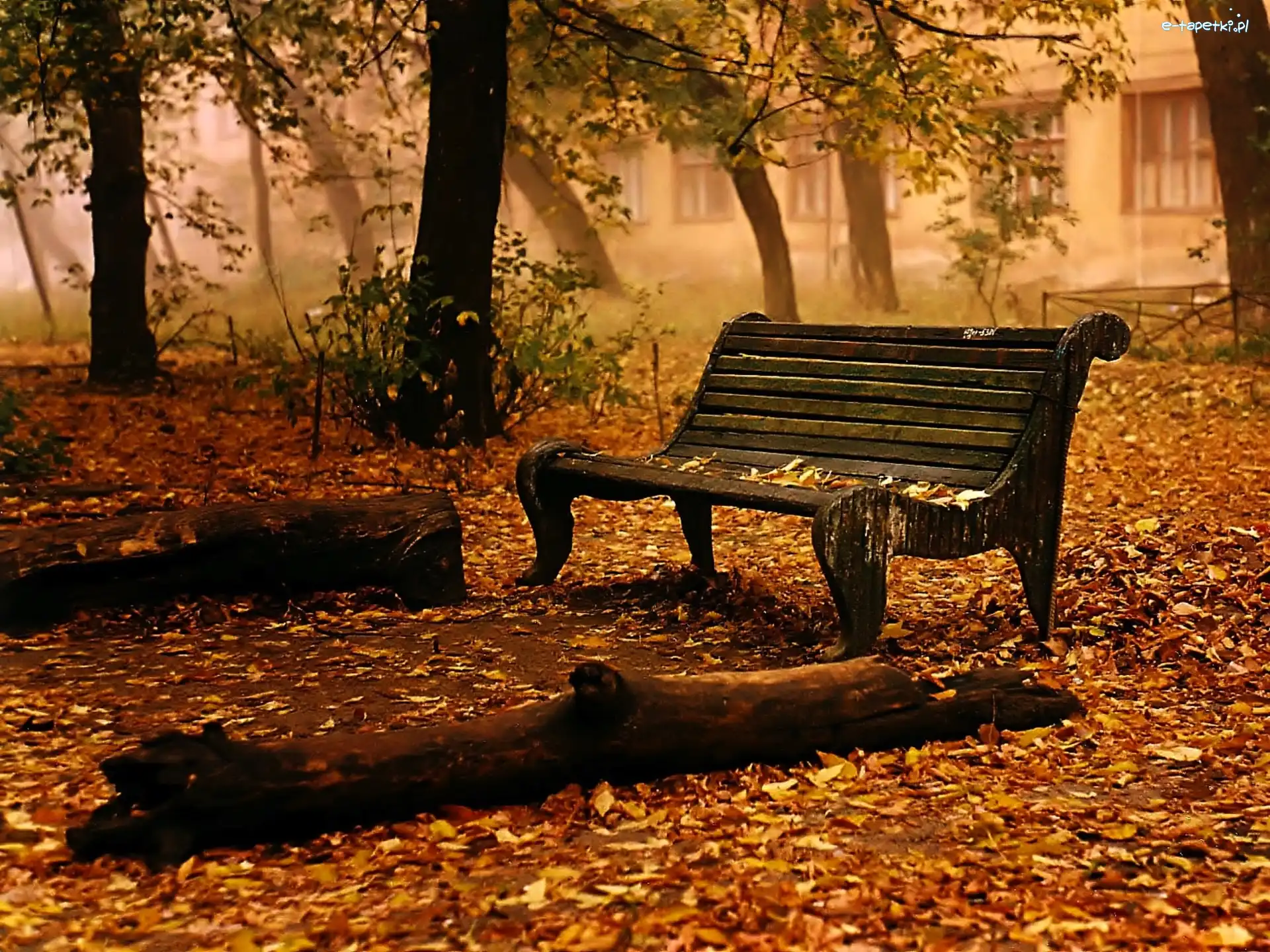 Ławeczka, Jesień, Park
