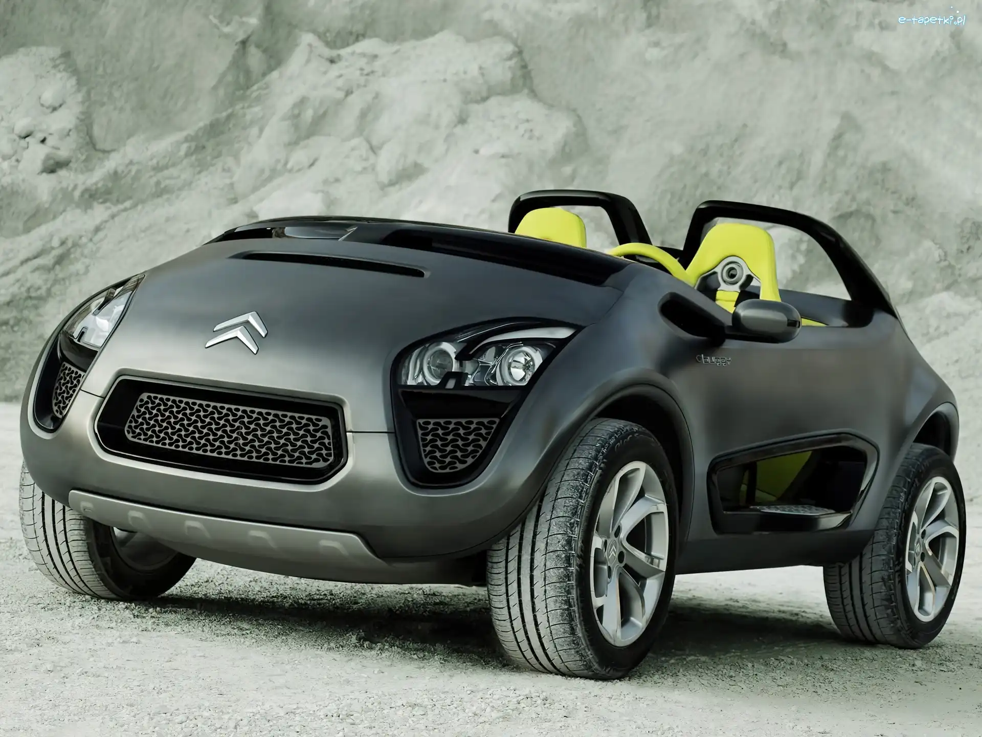 Firmowy, Emblemat, Citroen C-Buggy