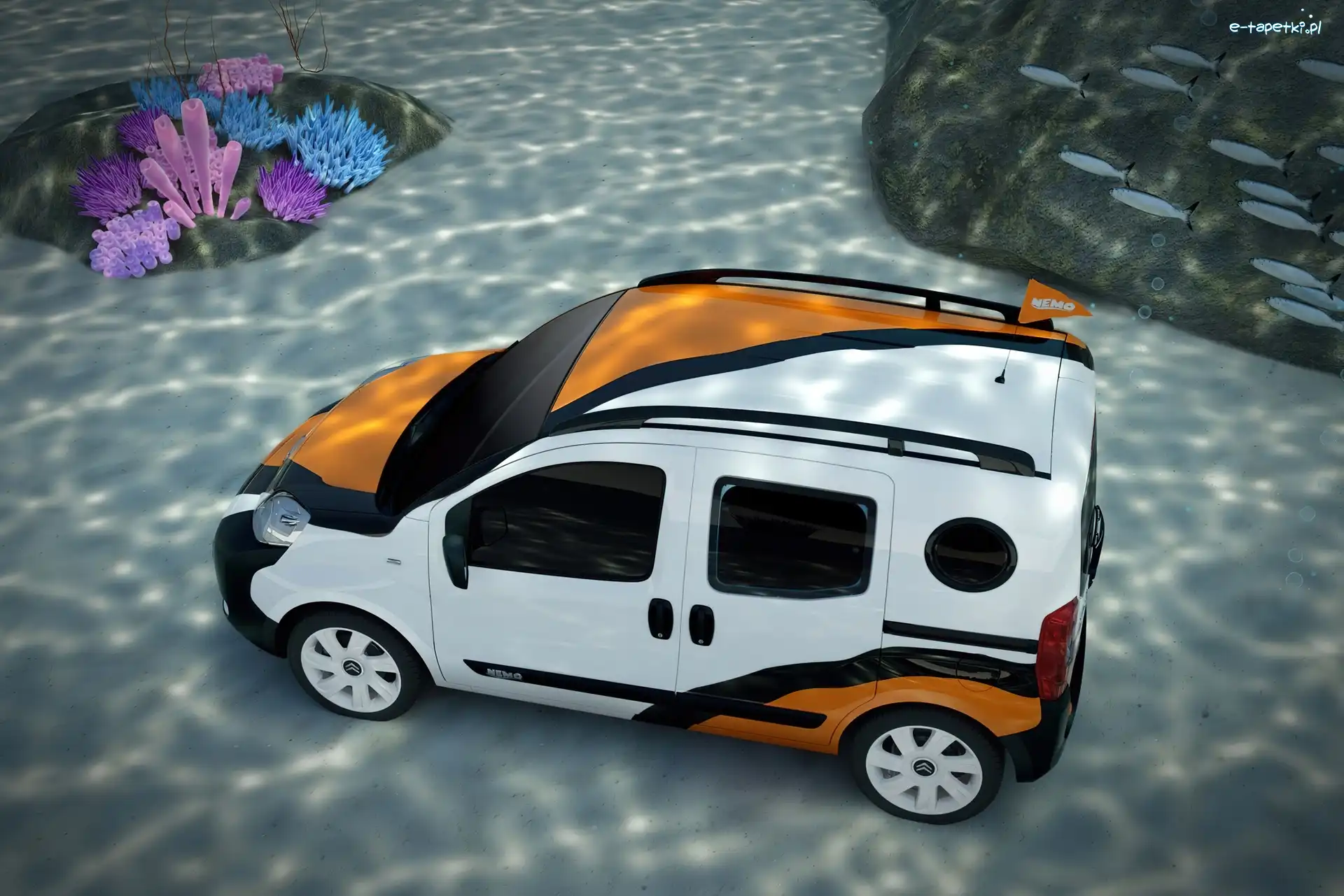 Ryb, Ławica, Citroen Nemo