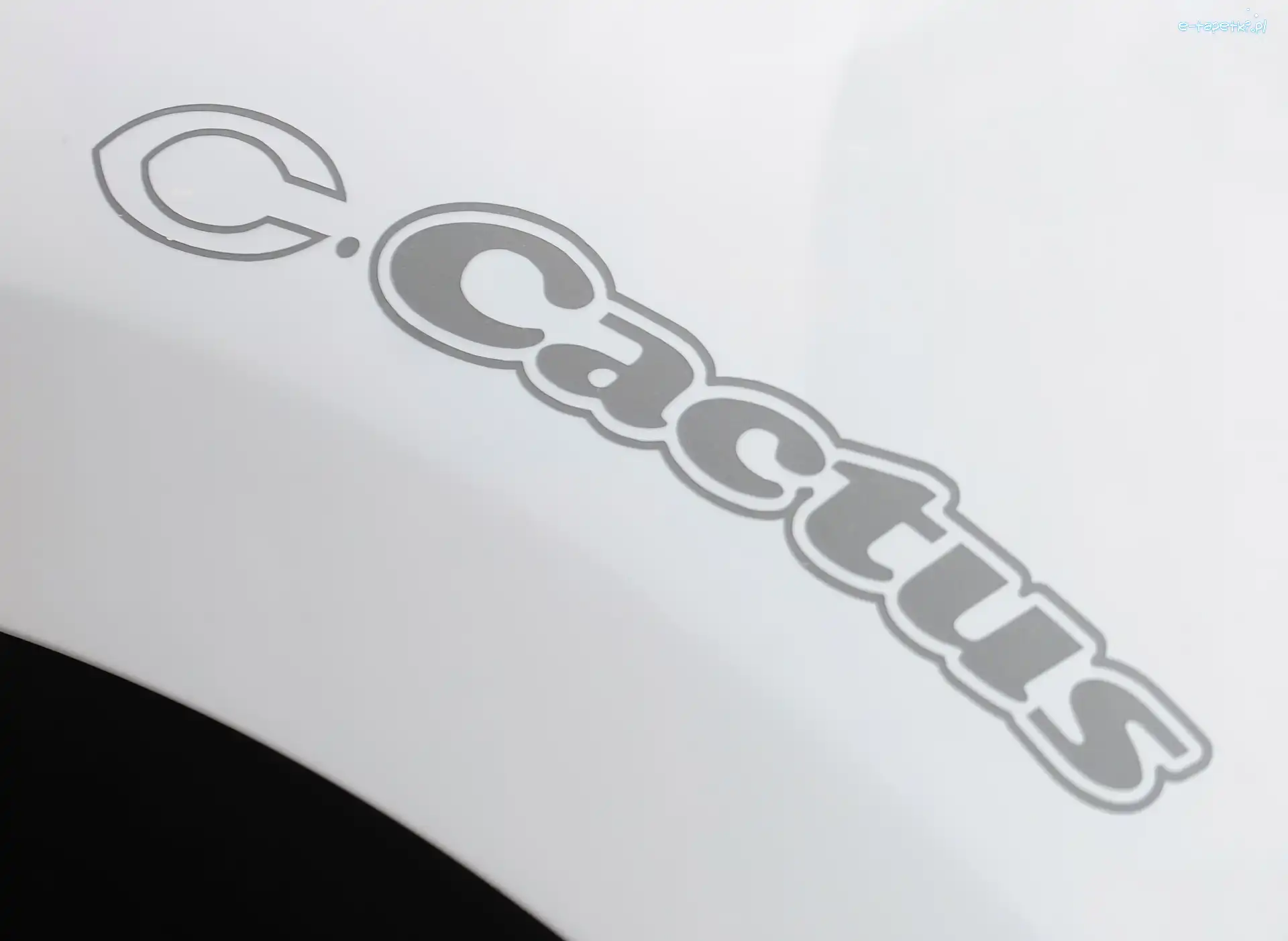 Citroen C-Cactus, Logo
