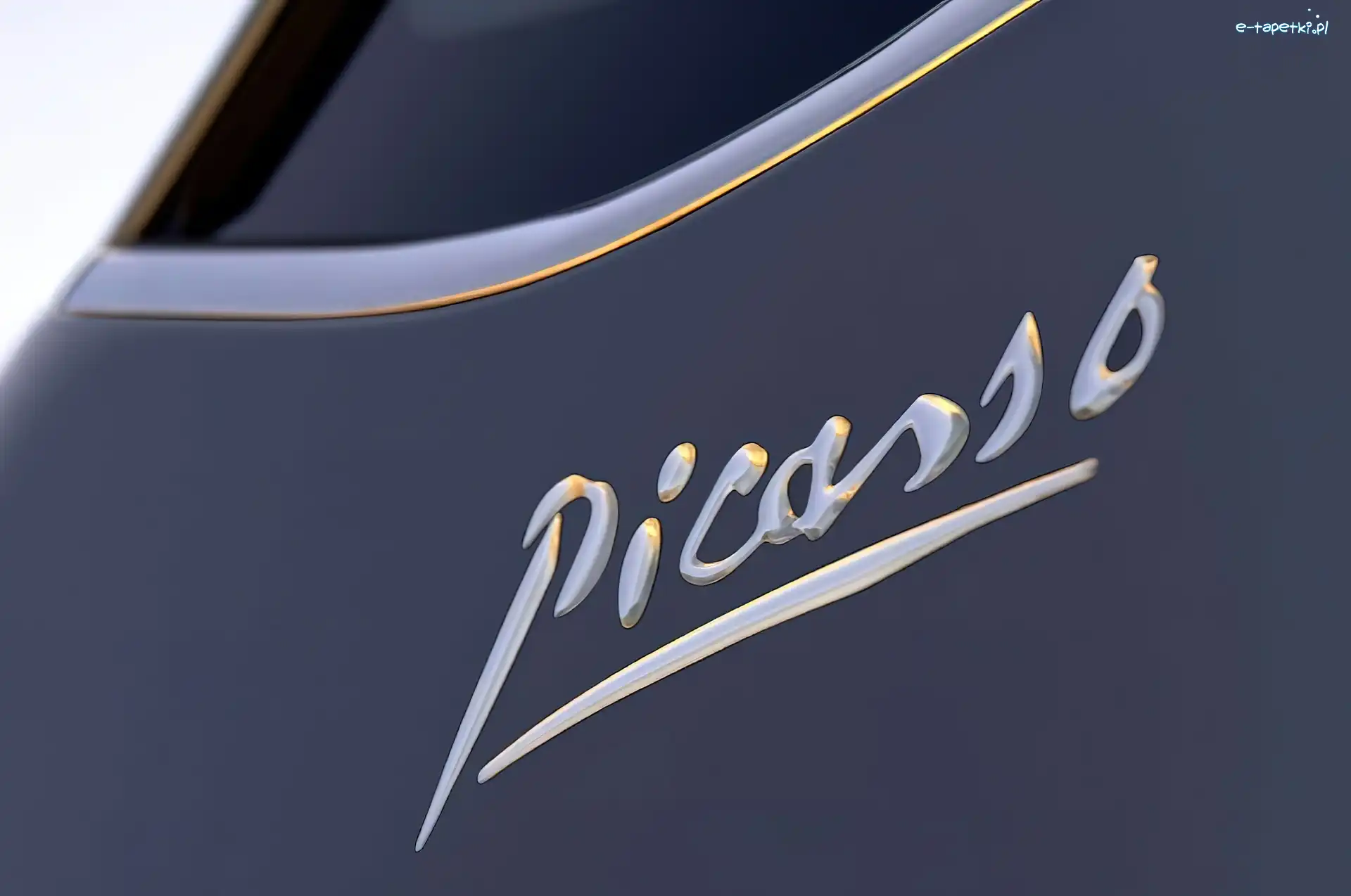 Picasso, Logo