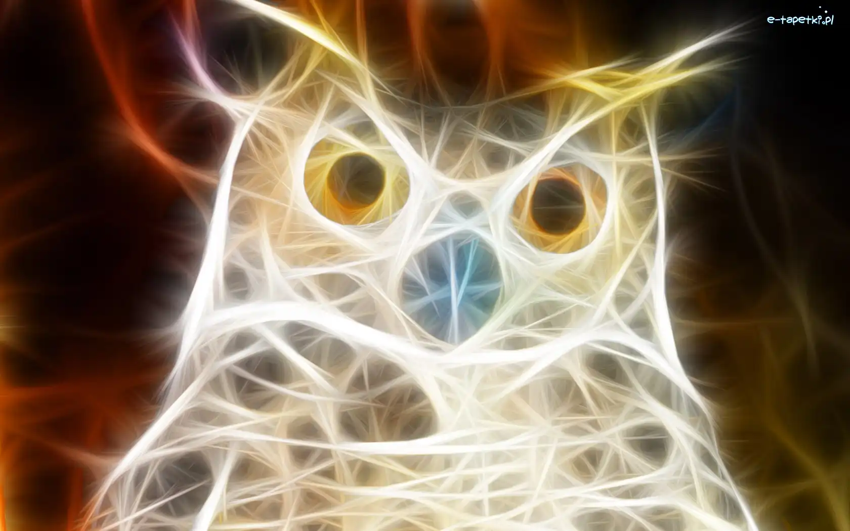 3D, Sowa