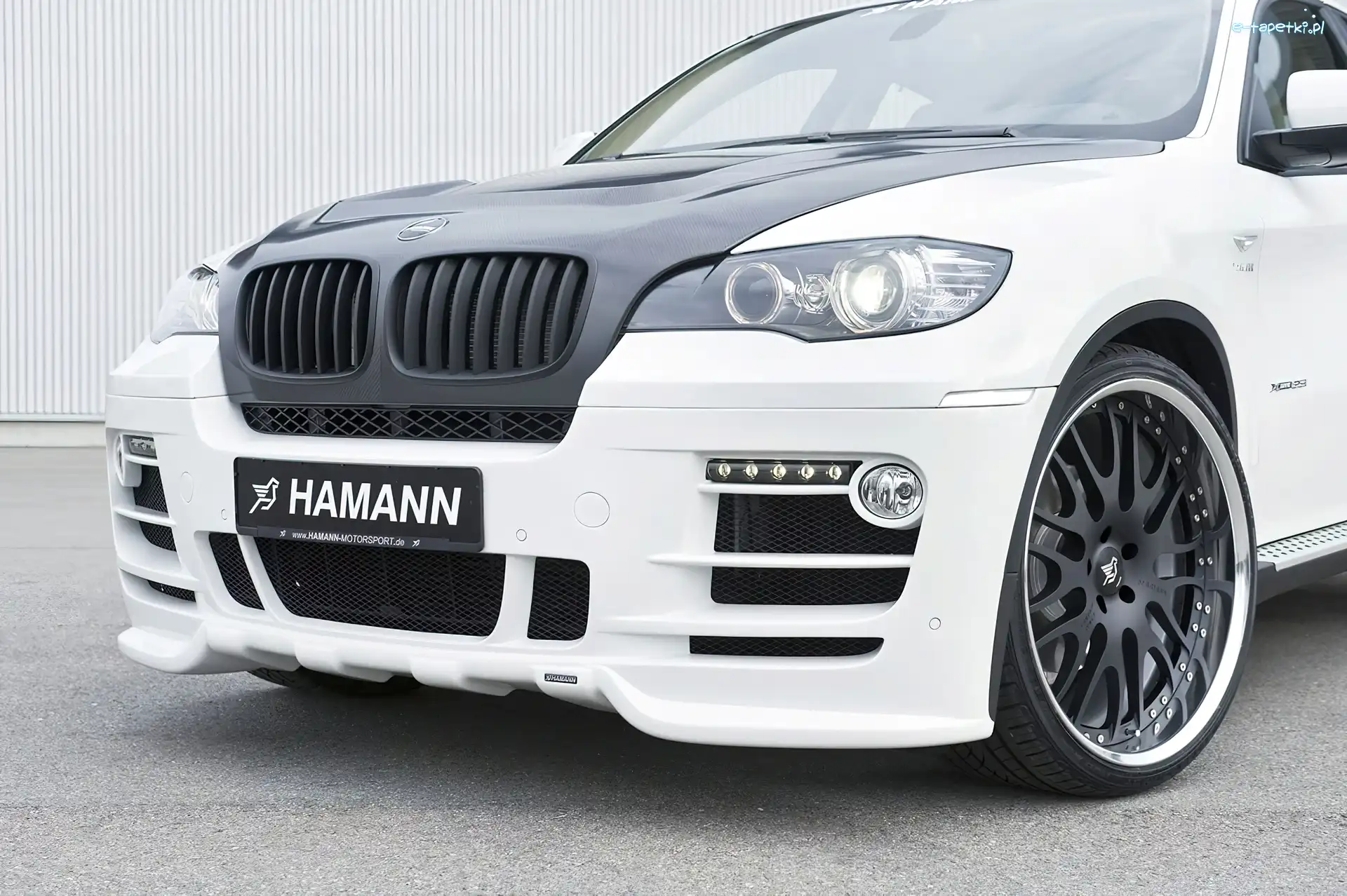 Hamann, X6