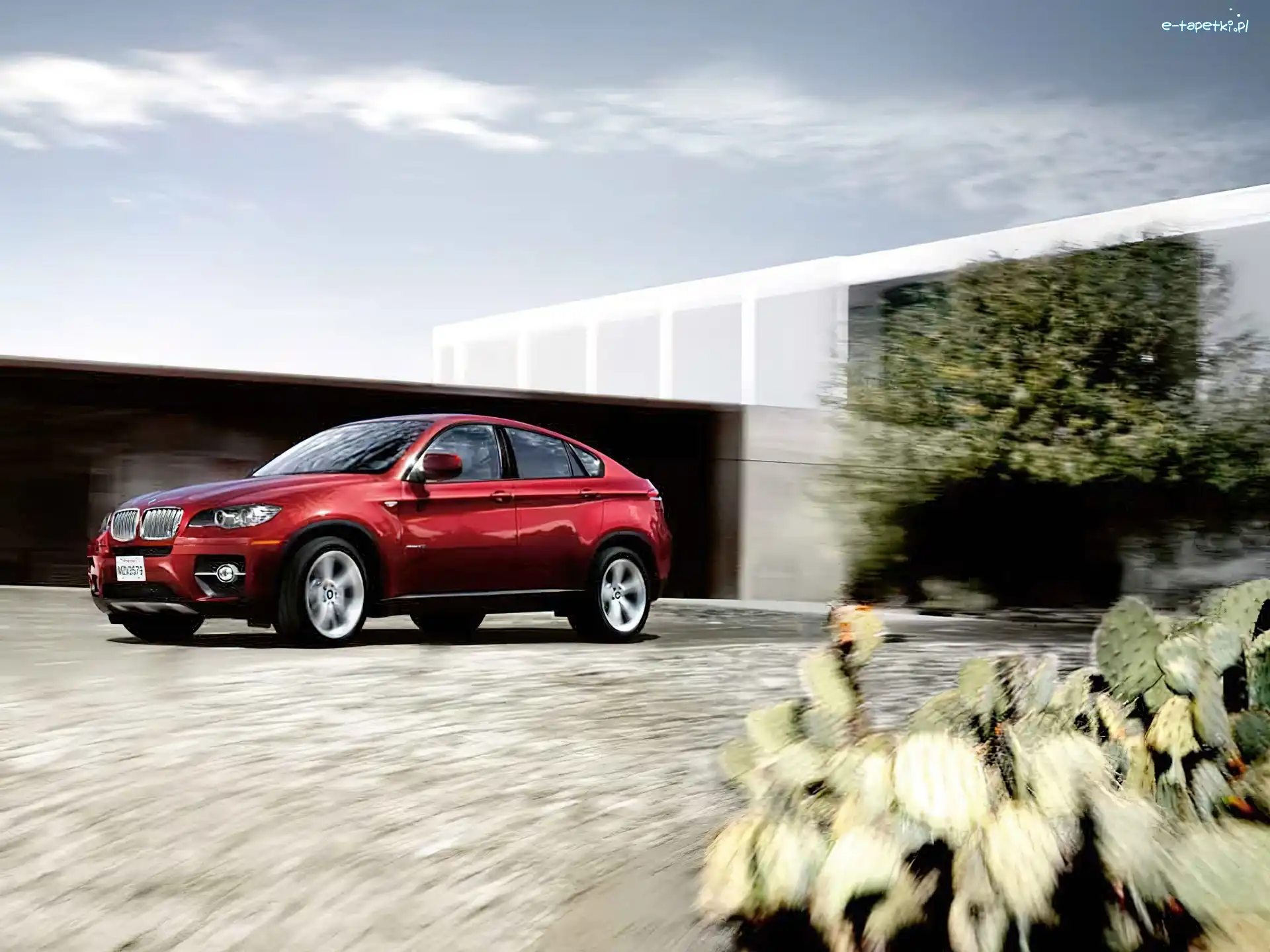 BMW X6, Bordowe