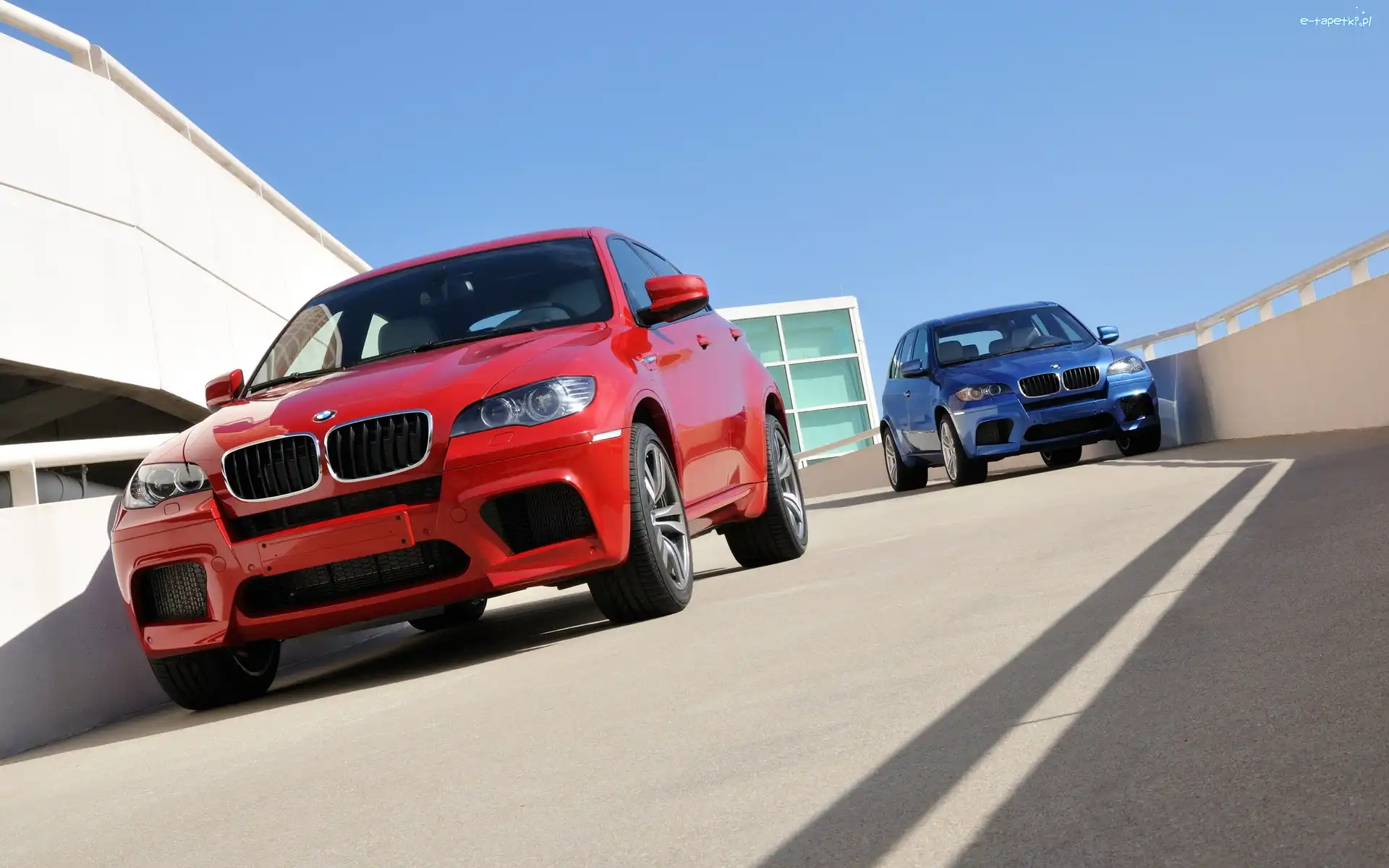 X5, BMW X6