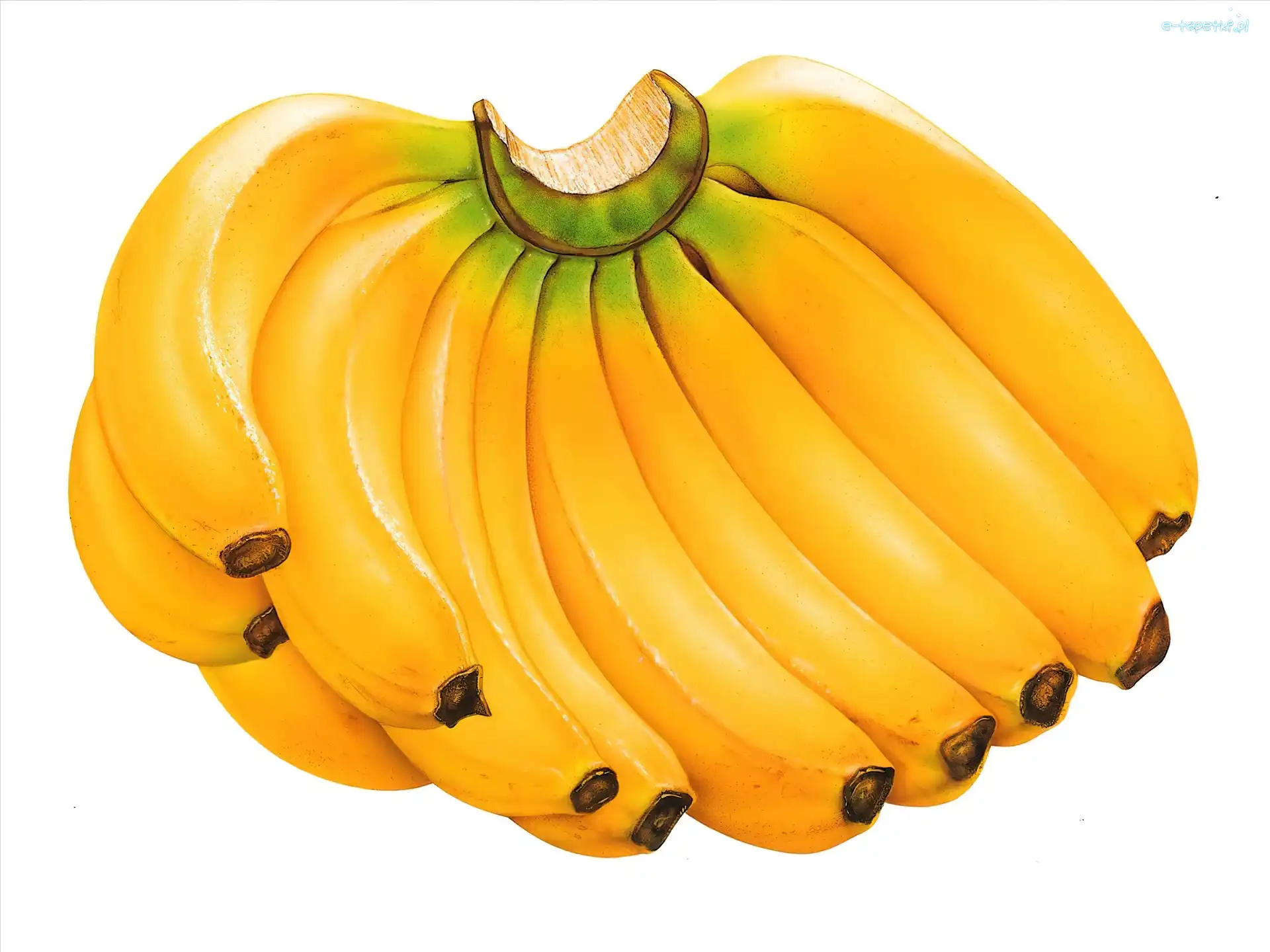 Bananów, Kiść
