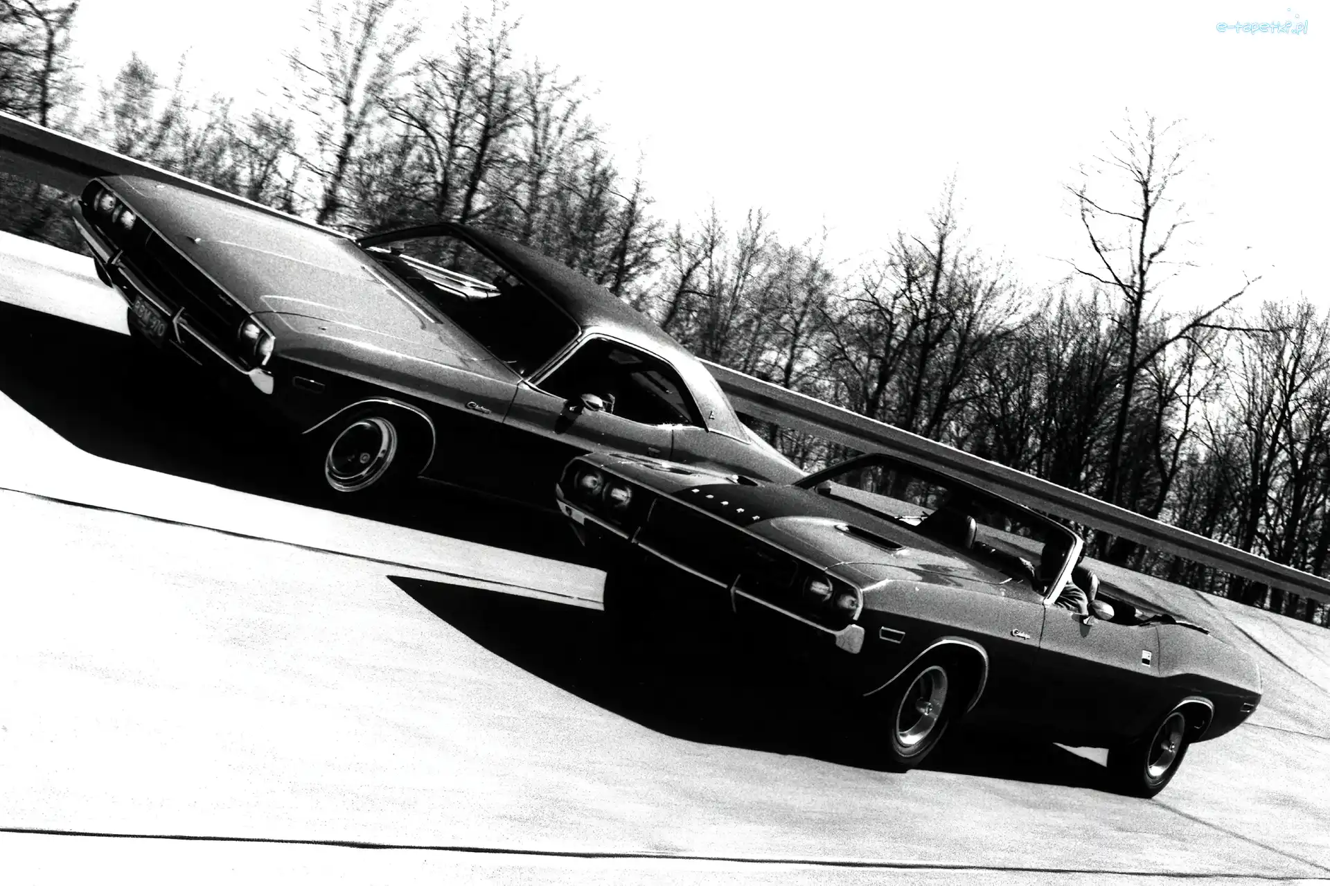 Wyścig, Dodge Challenger