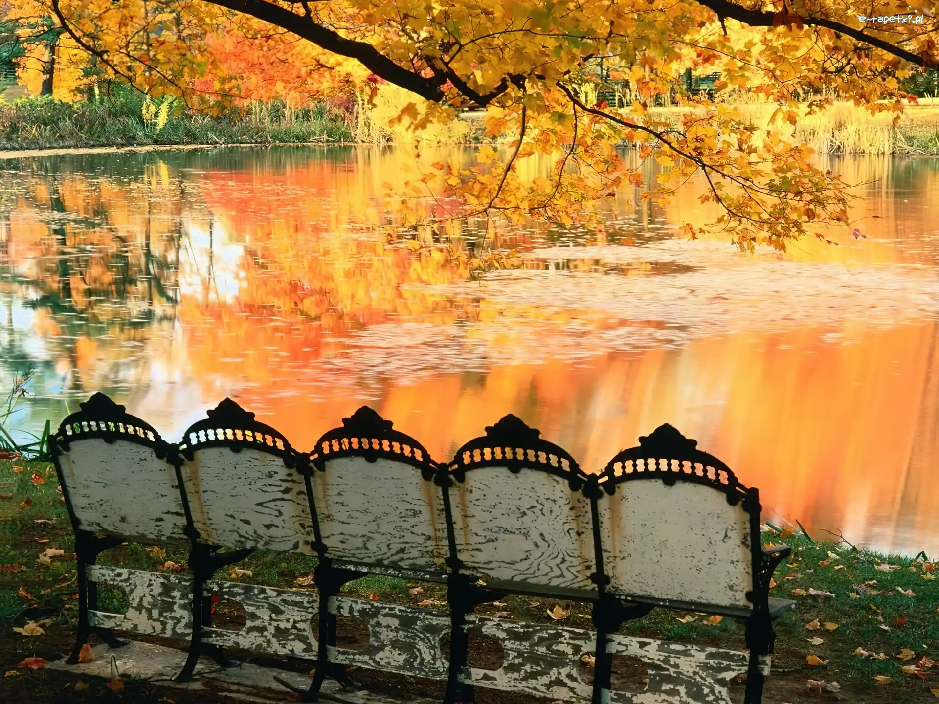 Ławka, Jezioro, Jesień