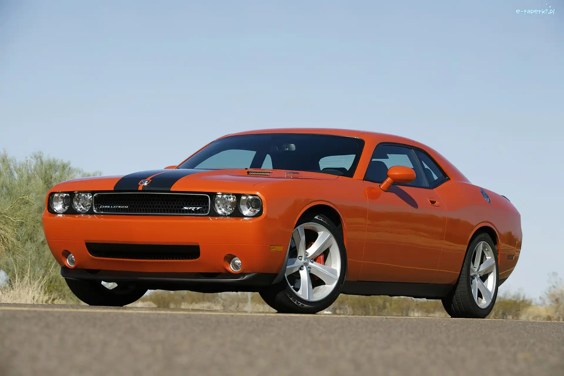 Asfalt, Koła, Dodge Challenger