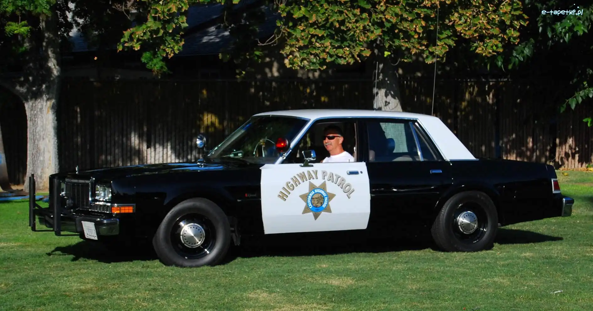 Szeryf, Dodge Diplomat