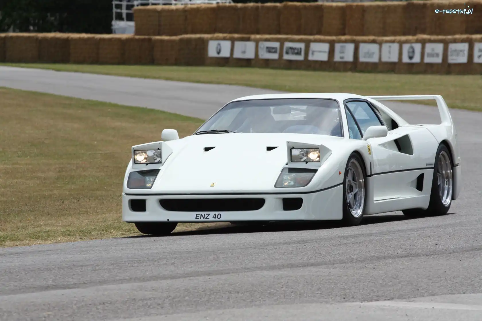 Ferrari F 40, Białe