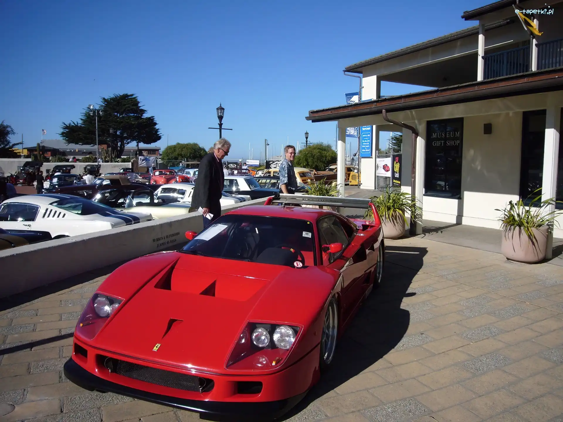 Samochody, Luksusowe, Ferrari F 40