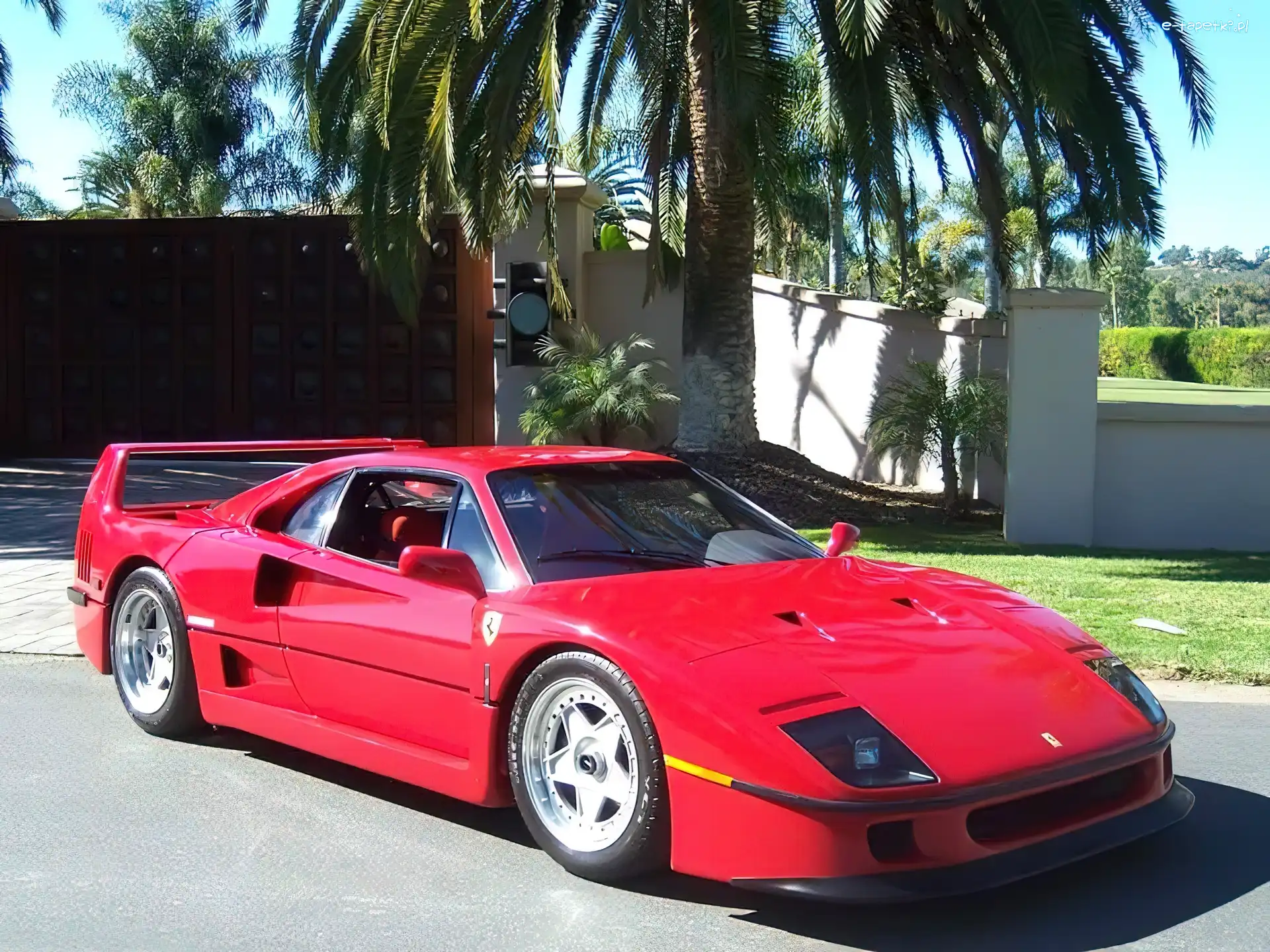 Palma, Ferrari F40